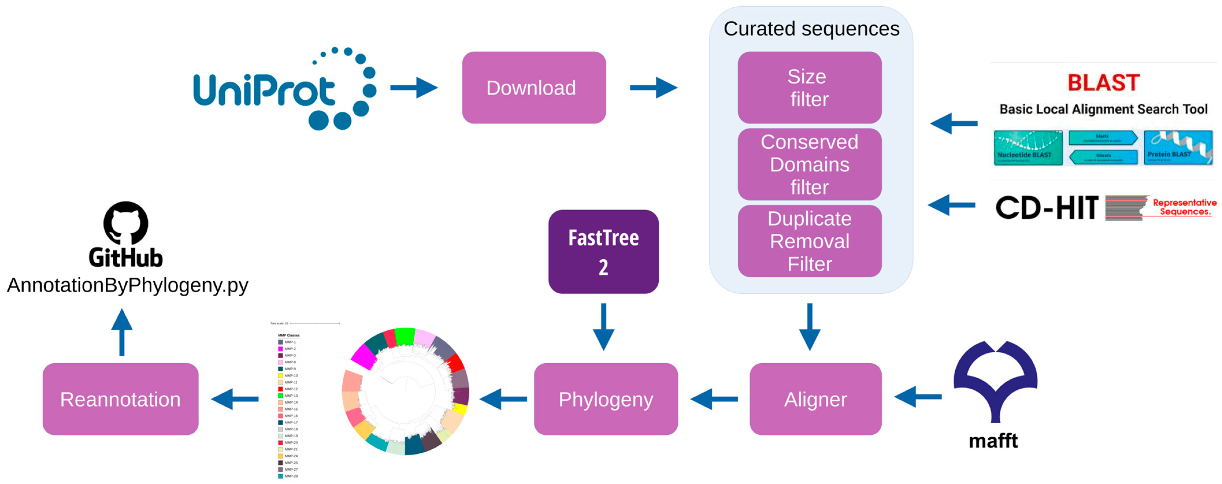 Biomedicines 11 03042 g001