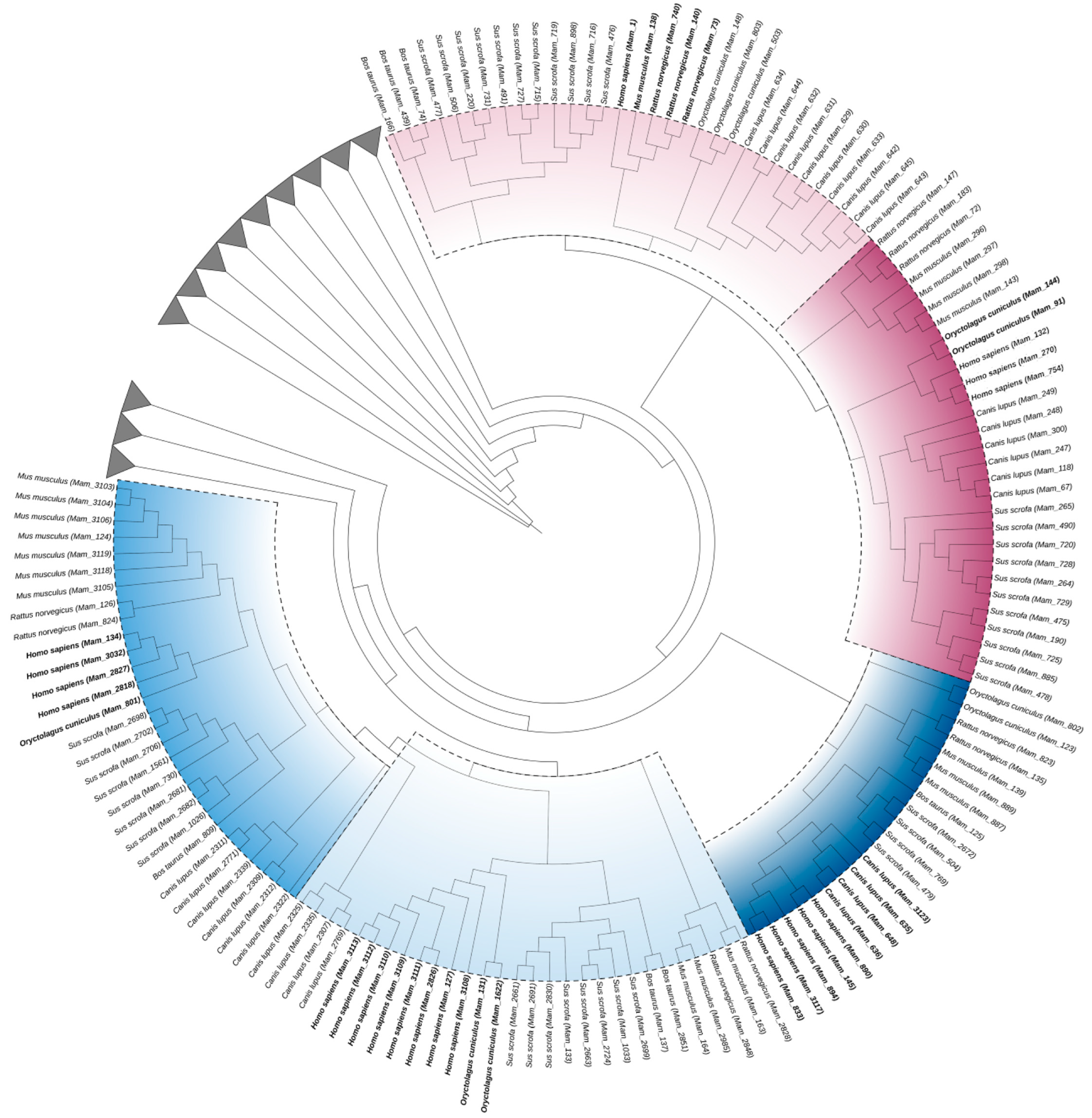 Biomedicines 11 03042 g004