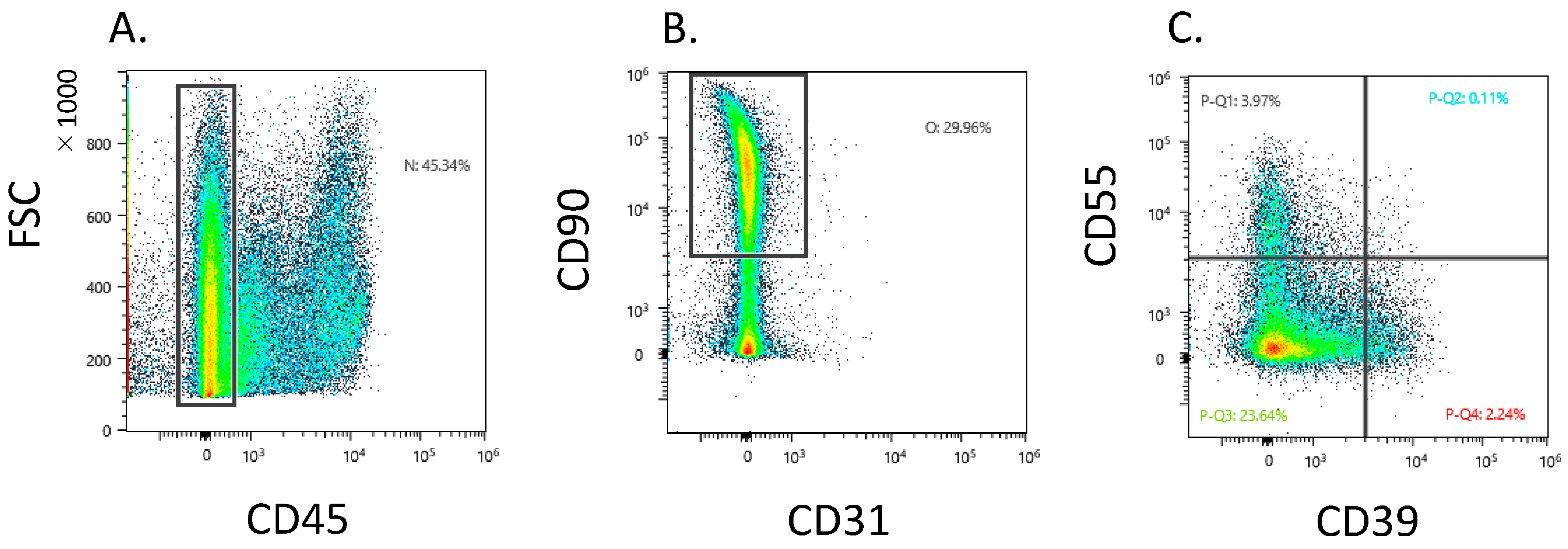 Biomedicines 11 03047 g001 Biomedicines 11 03047 g001