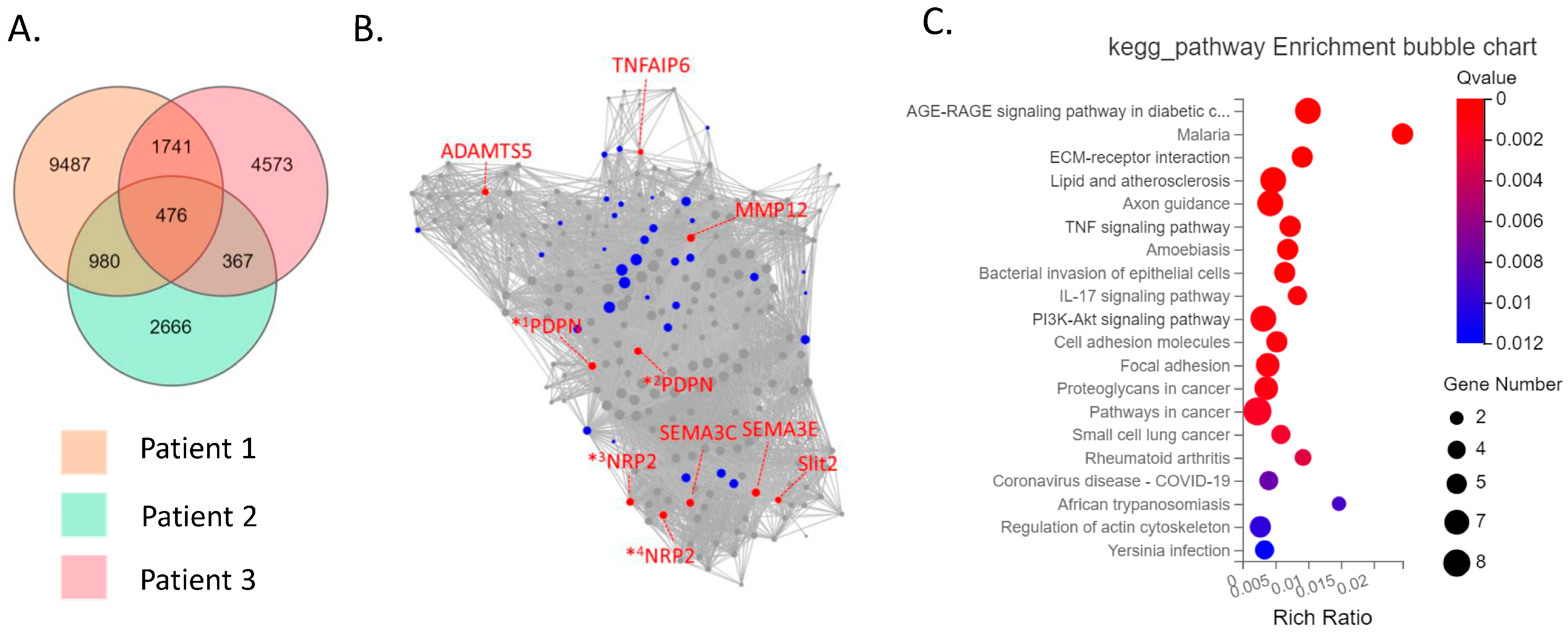 Biomedicines 11 03047 g003 Biomedicines 11 03047 g003