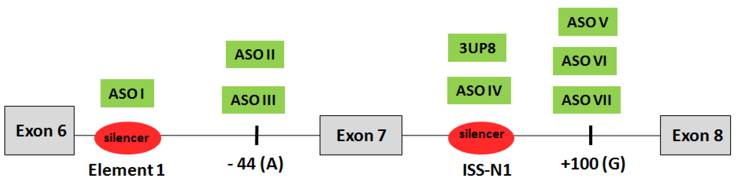 Biomedicines 11 03071 g002