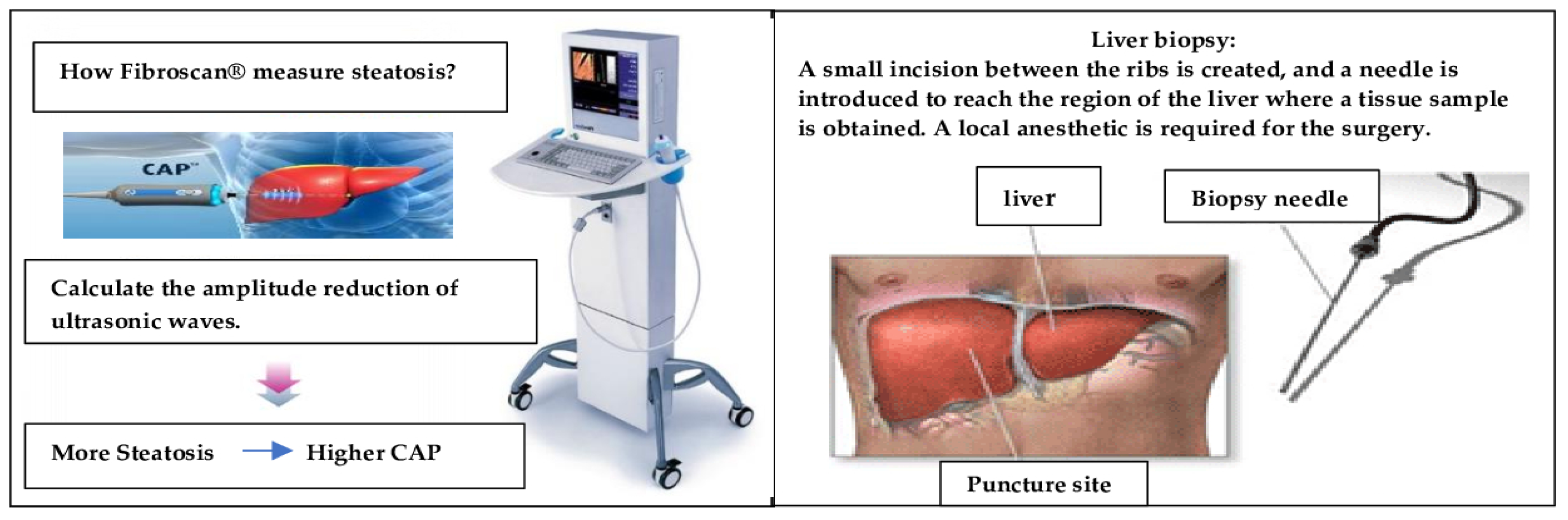 https://www.mdpi.com/biomedicines/biomedicines-11-03074/article_deploy/html/images/biomedicines-11-03074-g001.png