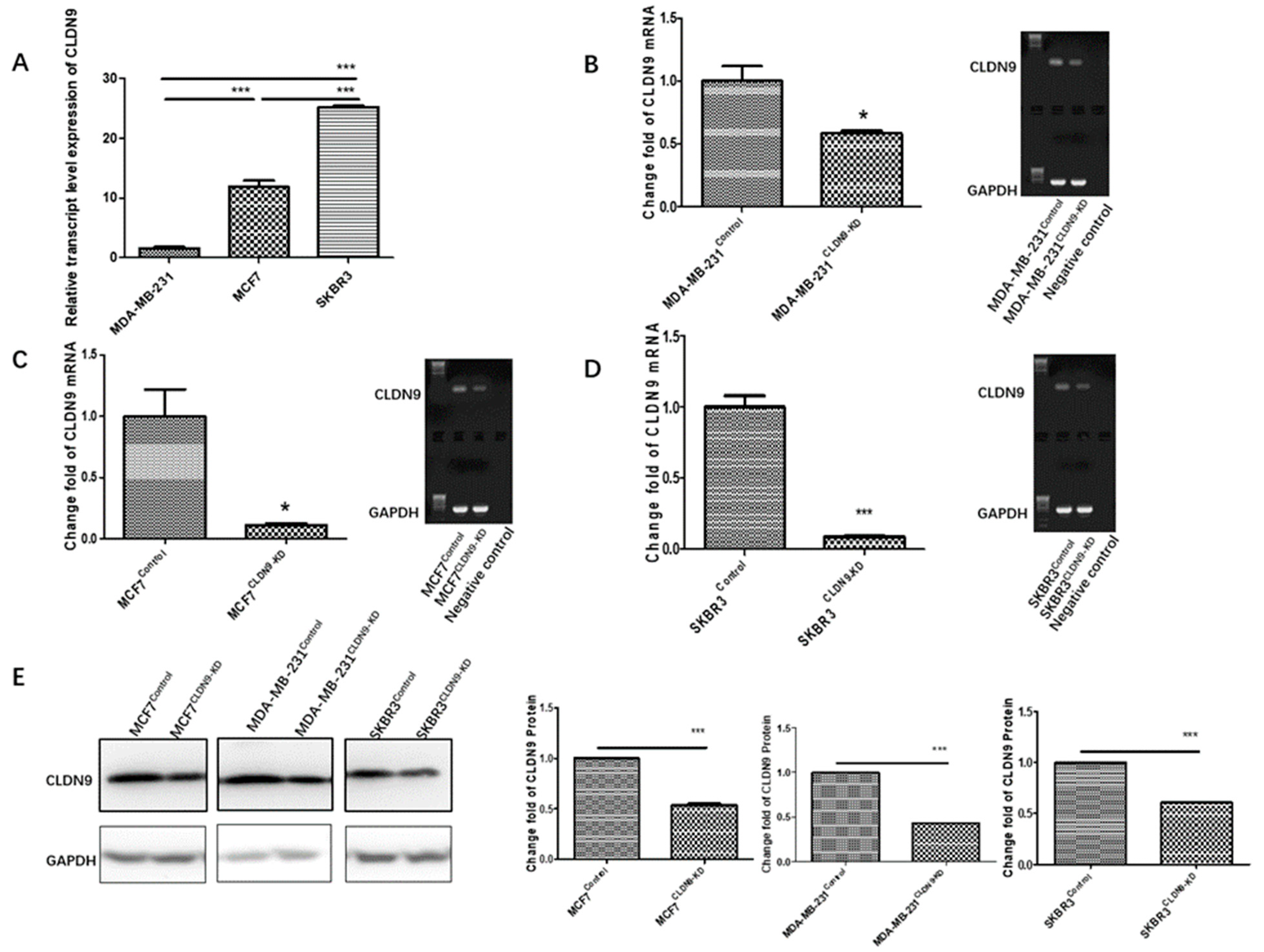 Biomedicines 11 03136 g006 Biomedicines 11 03136 g006