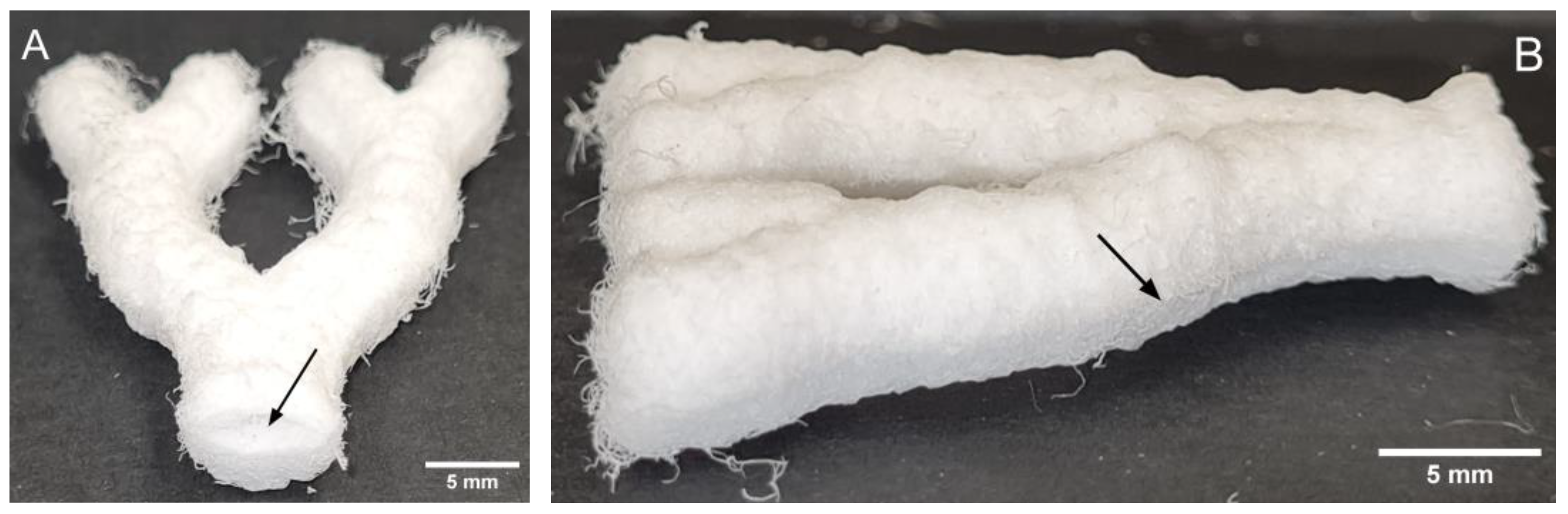 Biomedicines 11 03139 g006