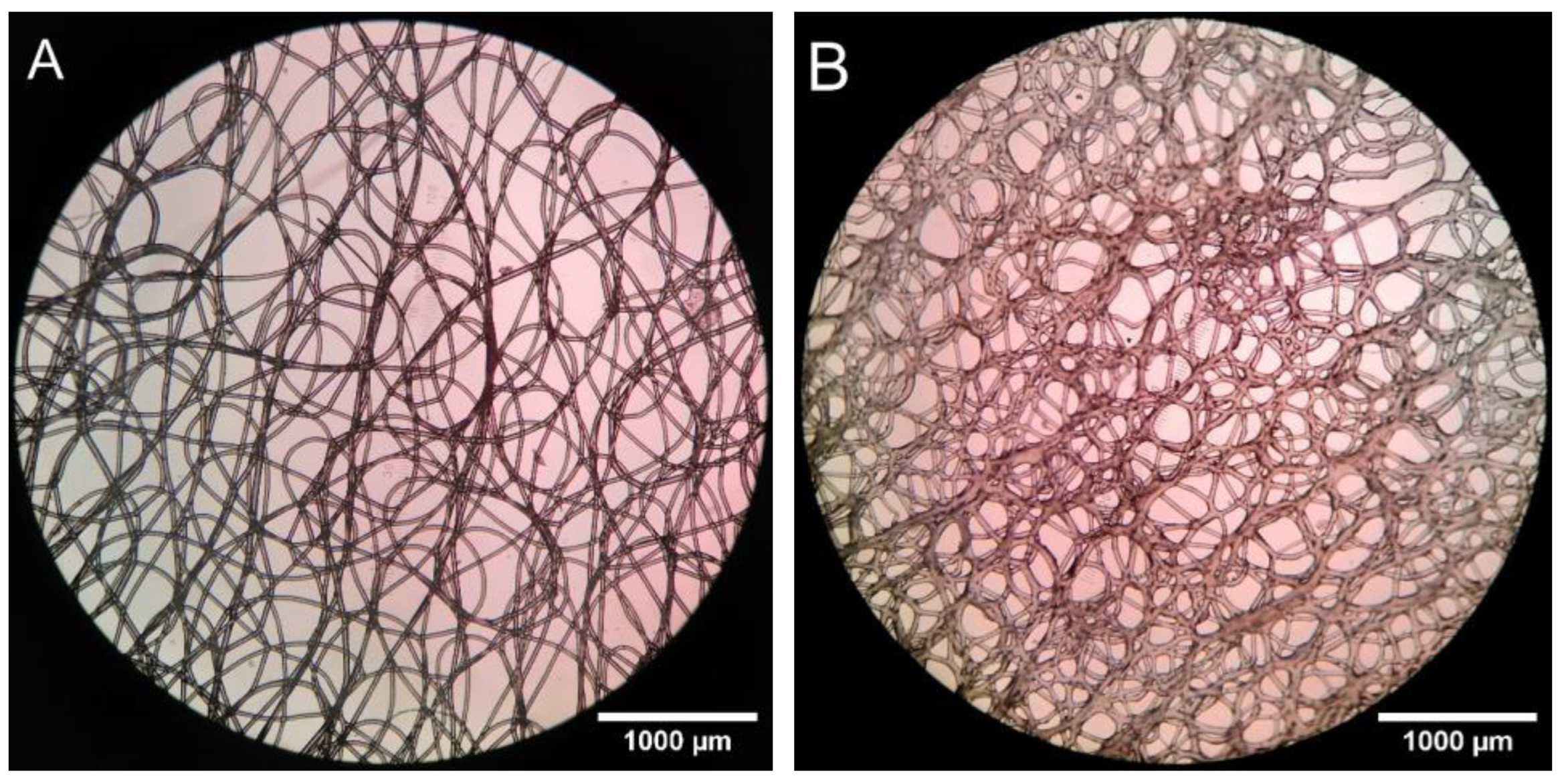 Biomedicines 11 03139 g010