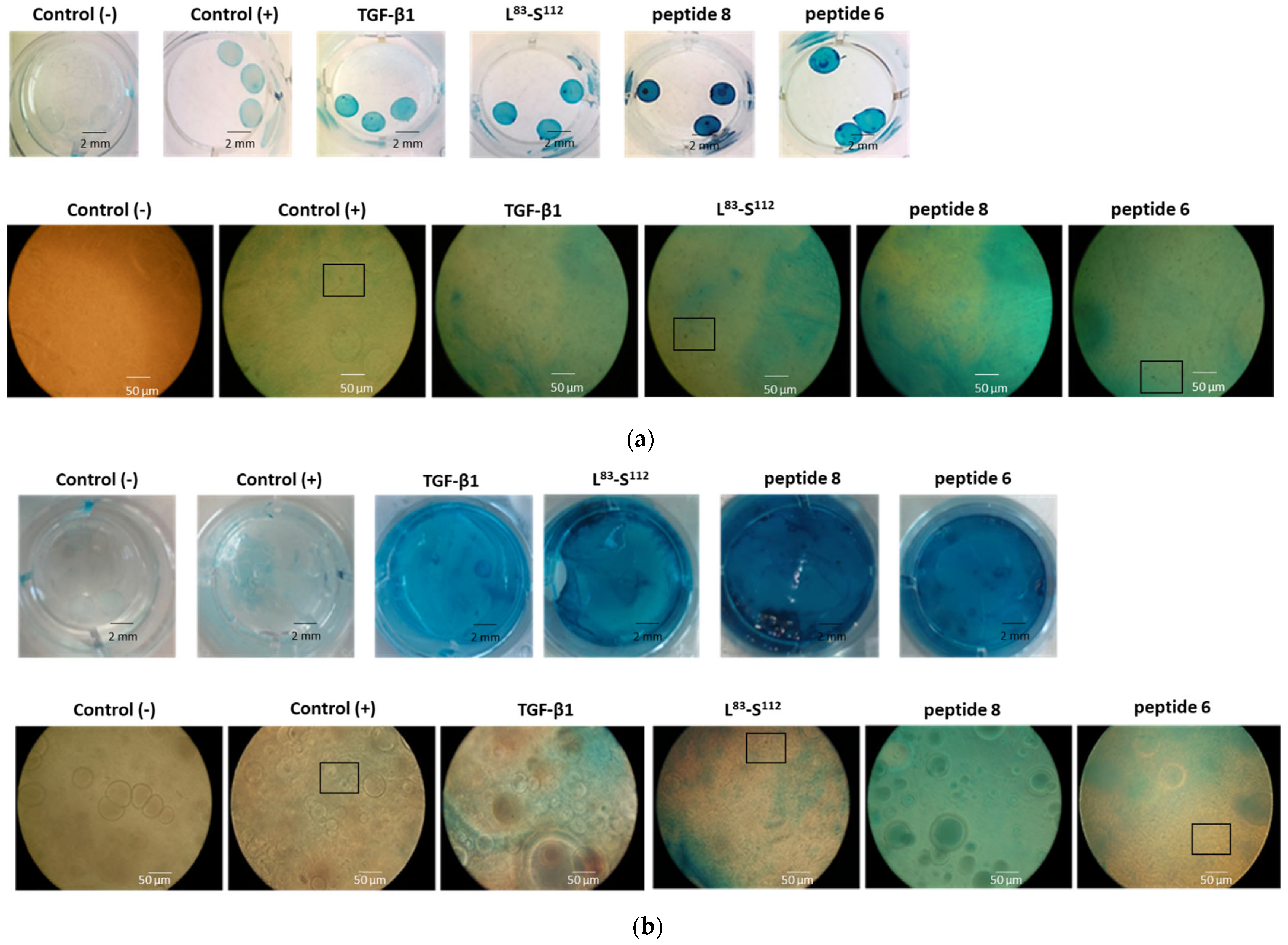 Biomedicines 11 03182 g003