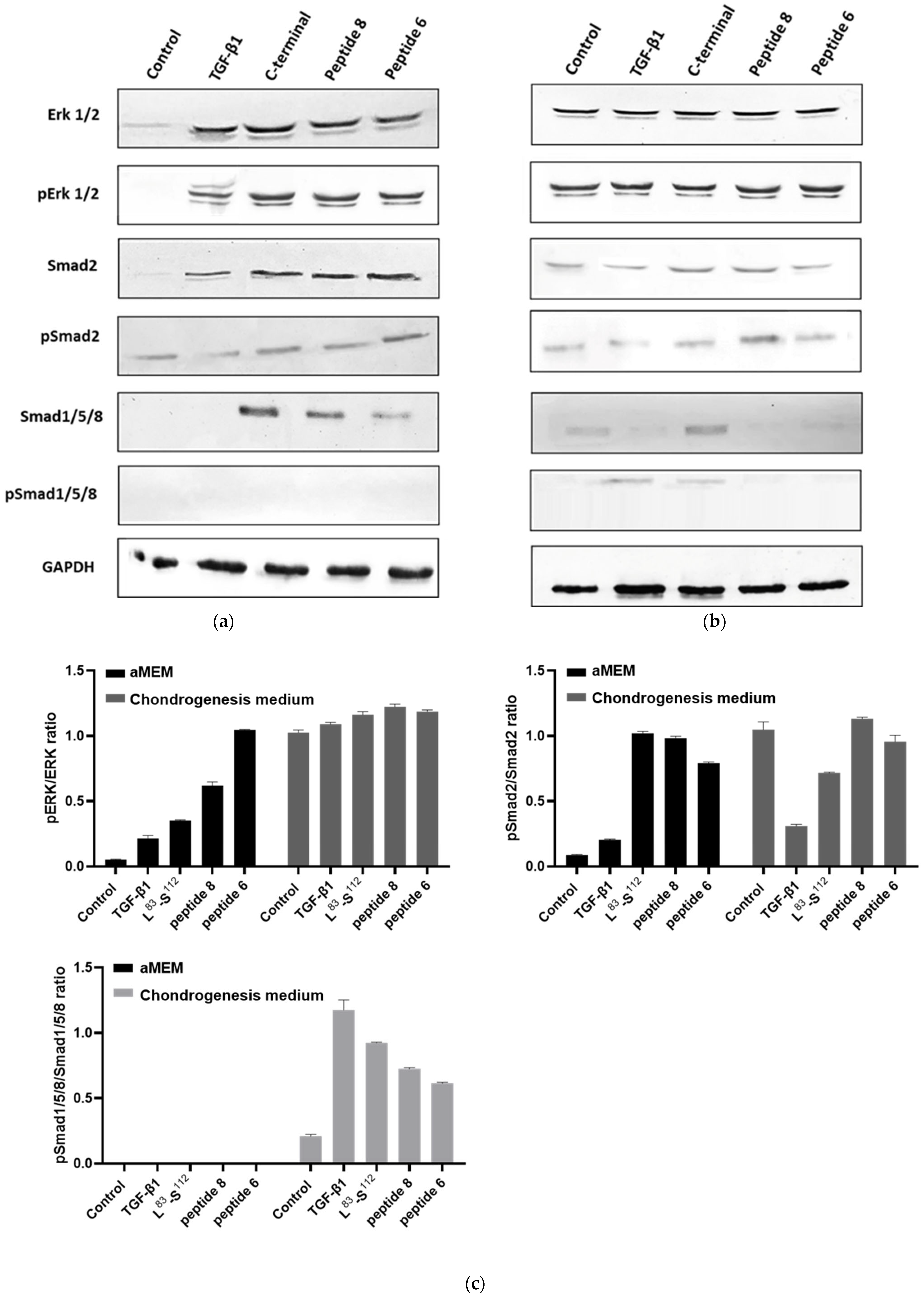 Biomedicines 11 03182 g011