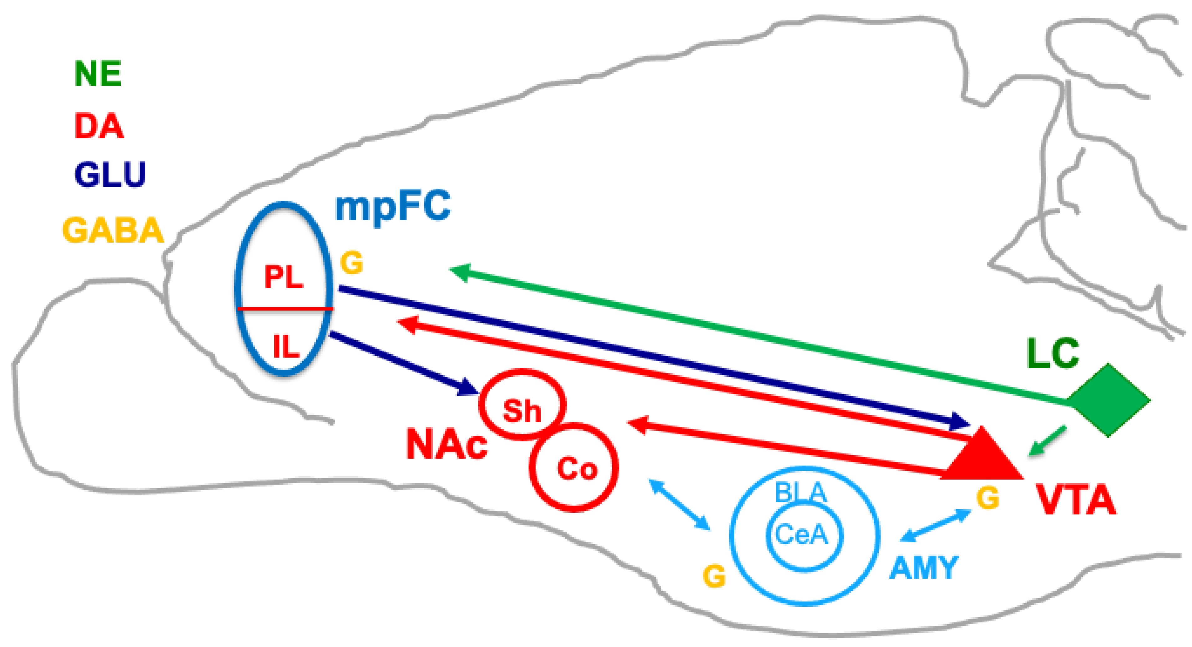 Biomedicines 11 03189 g002 Biomedicines 11 03189 g002