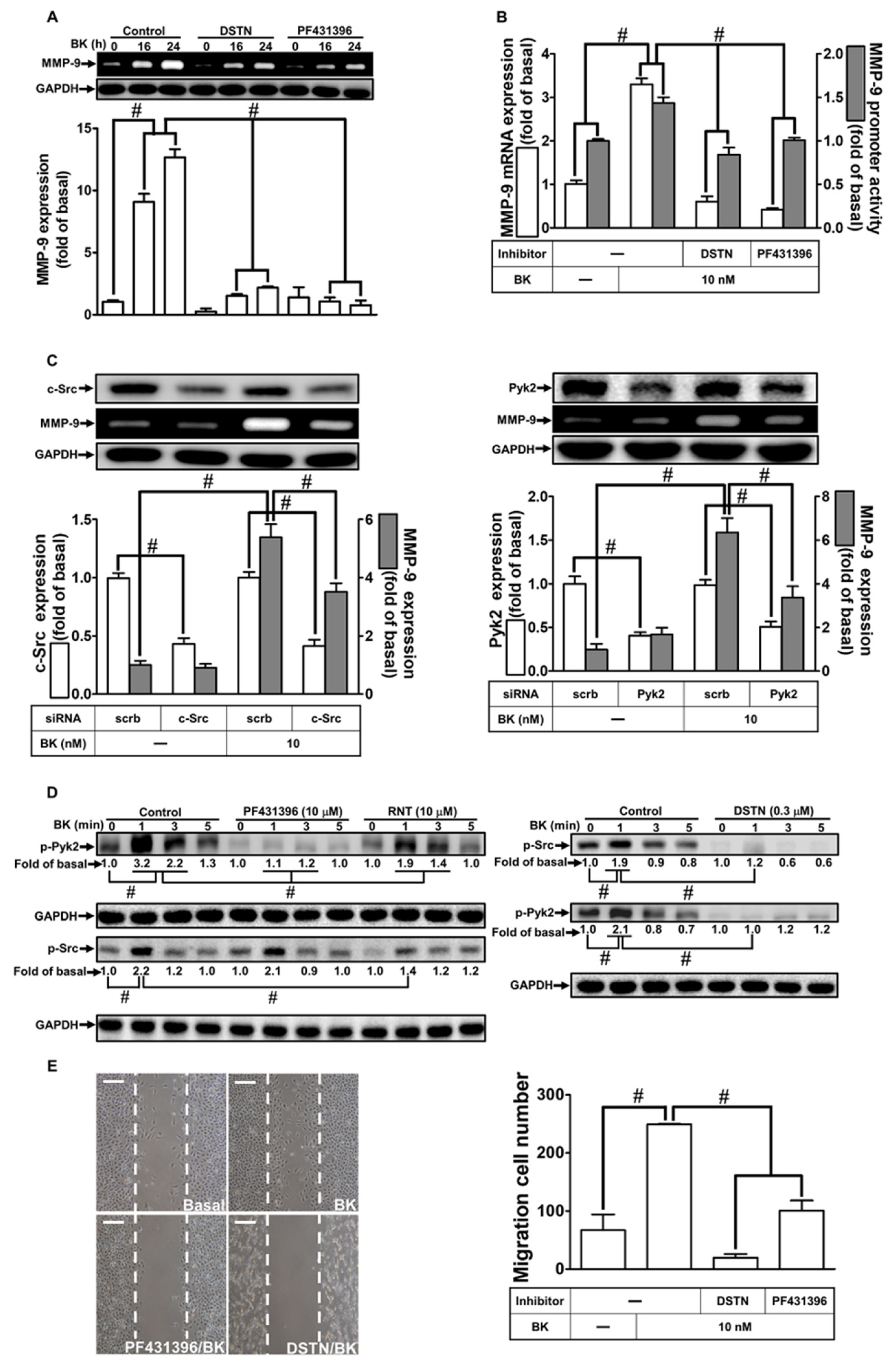 Biomedicines 11 03198 g002