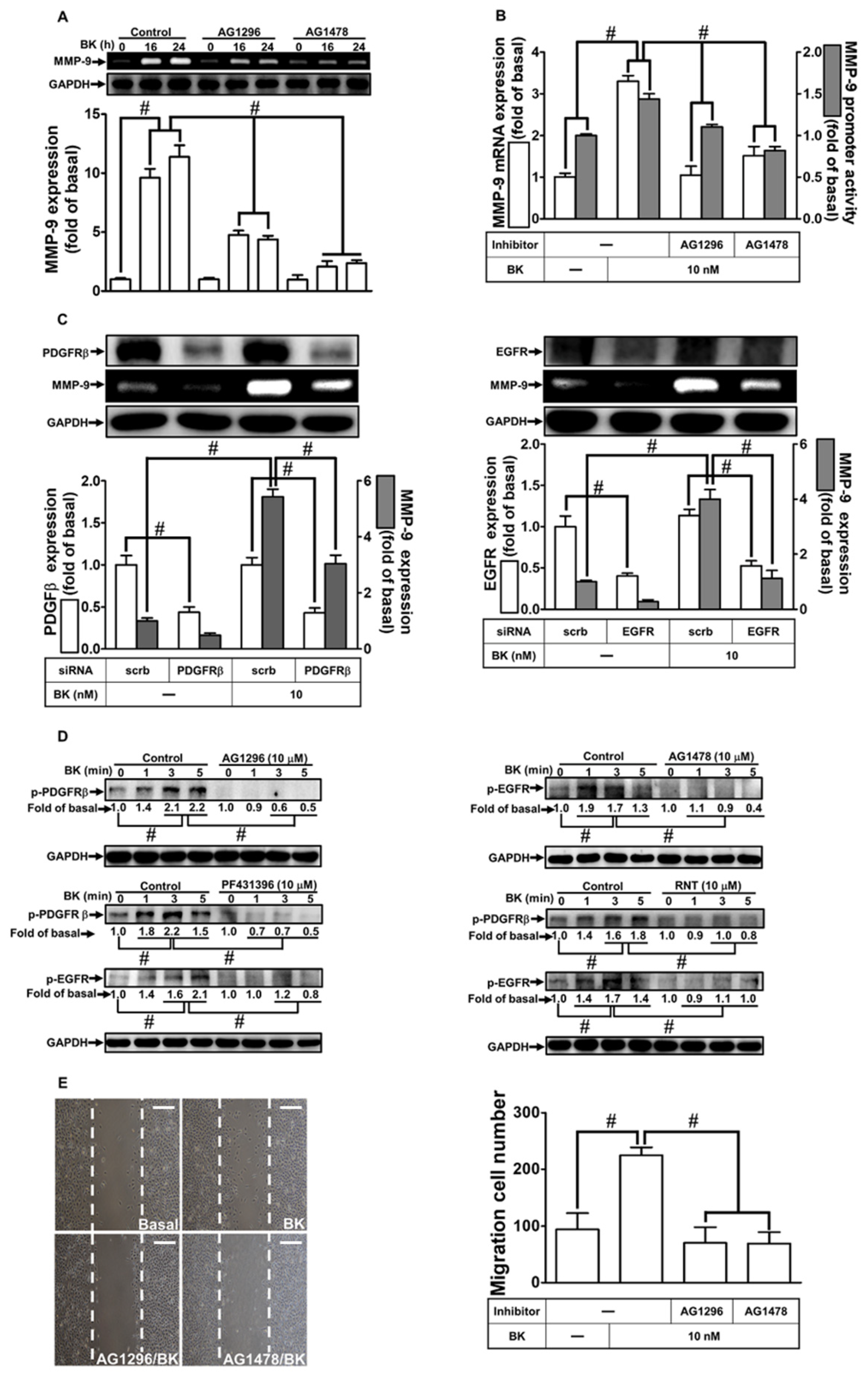 Biomedicines 11 03198 g003