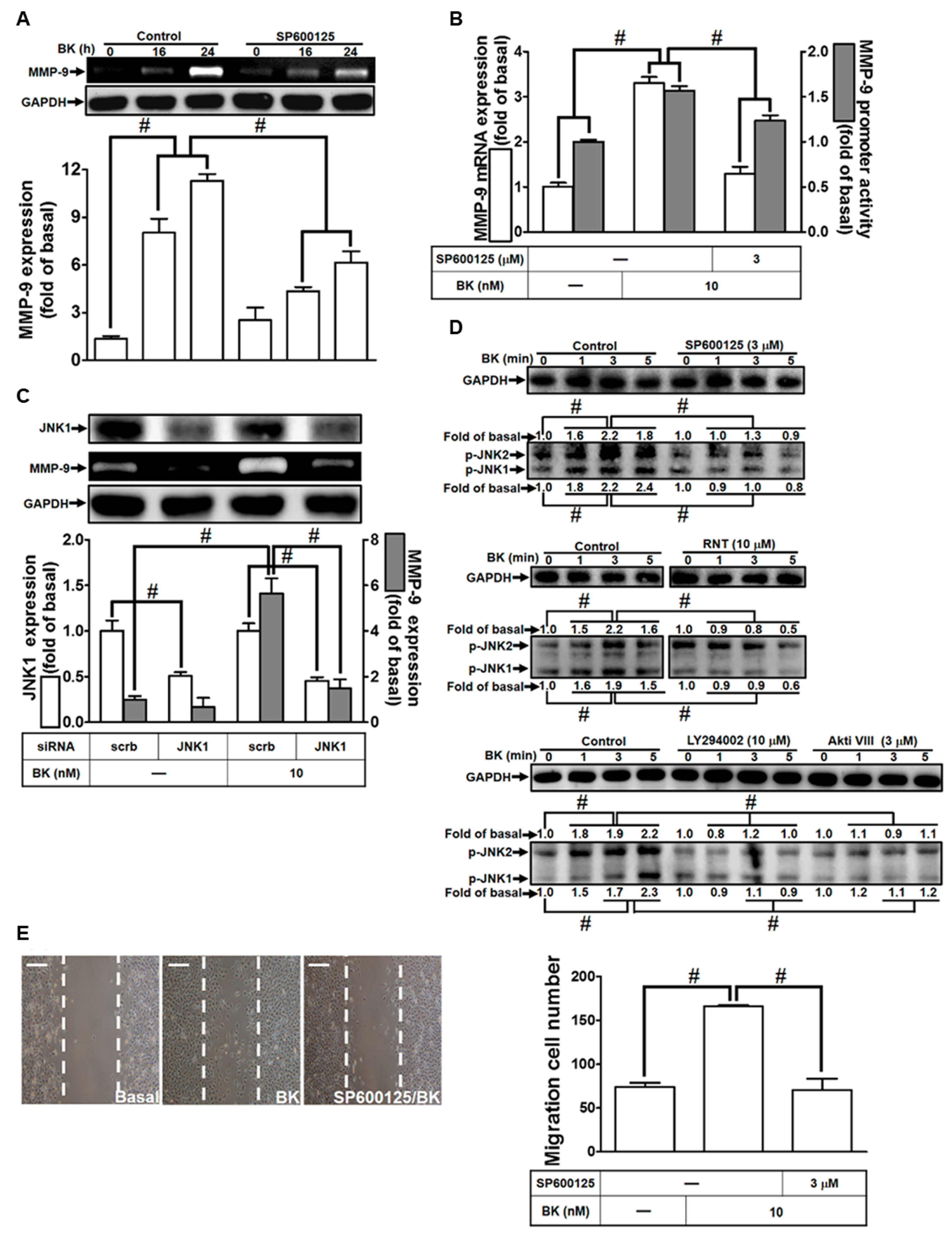 Biomedicines 11 03198 g005