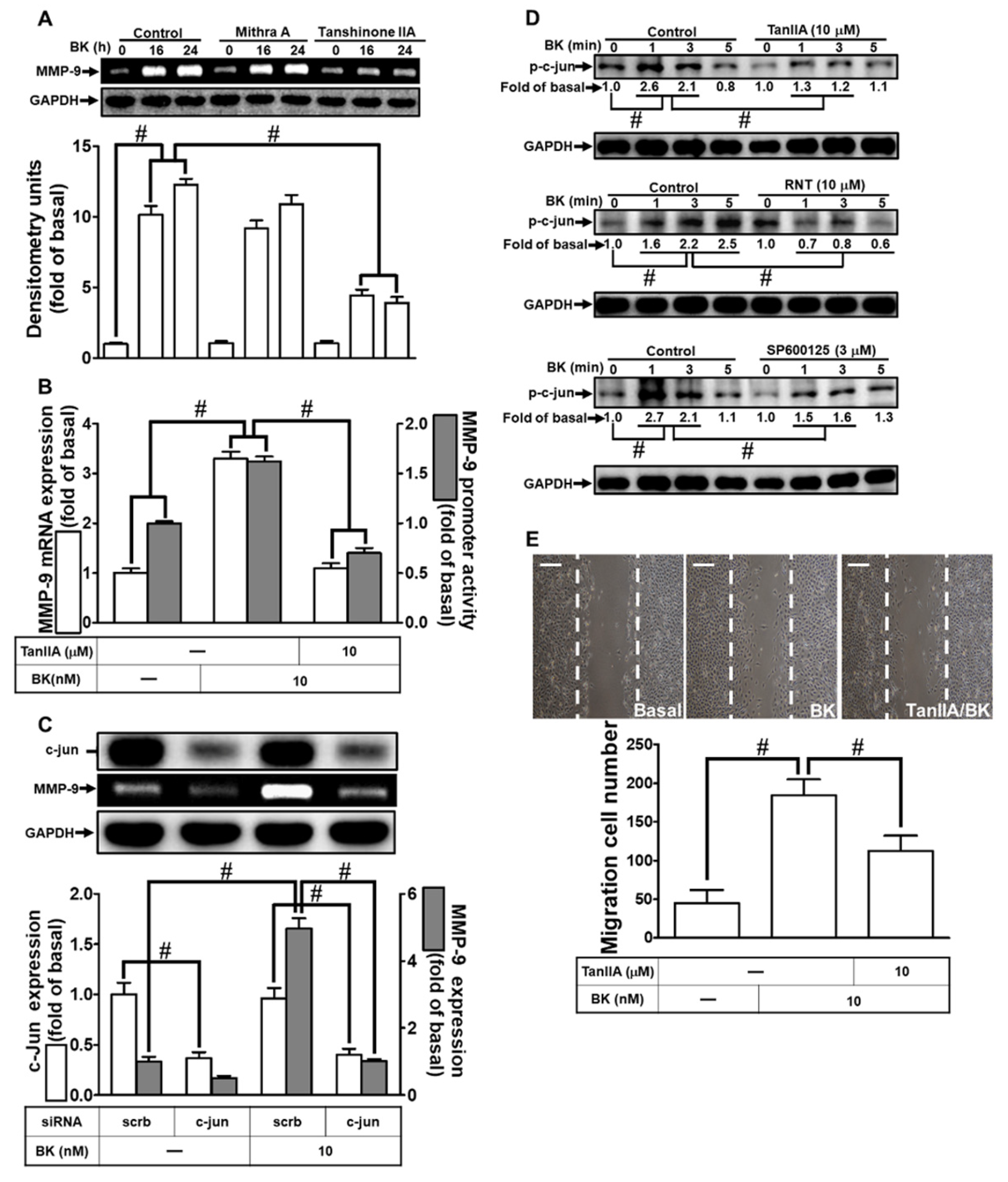 Biomedicines 11 03198 g006