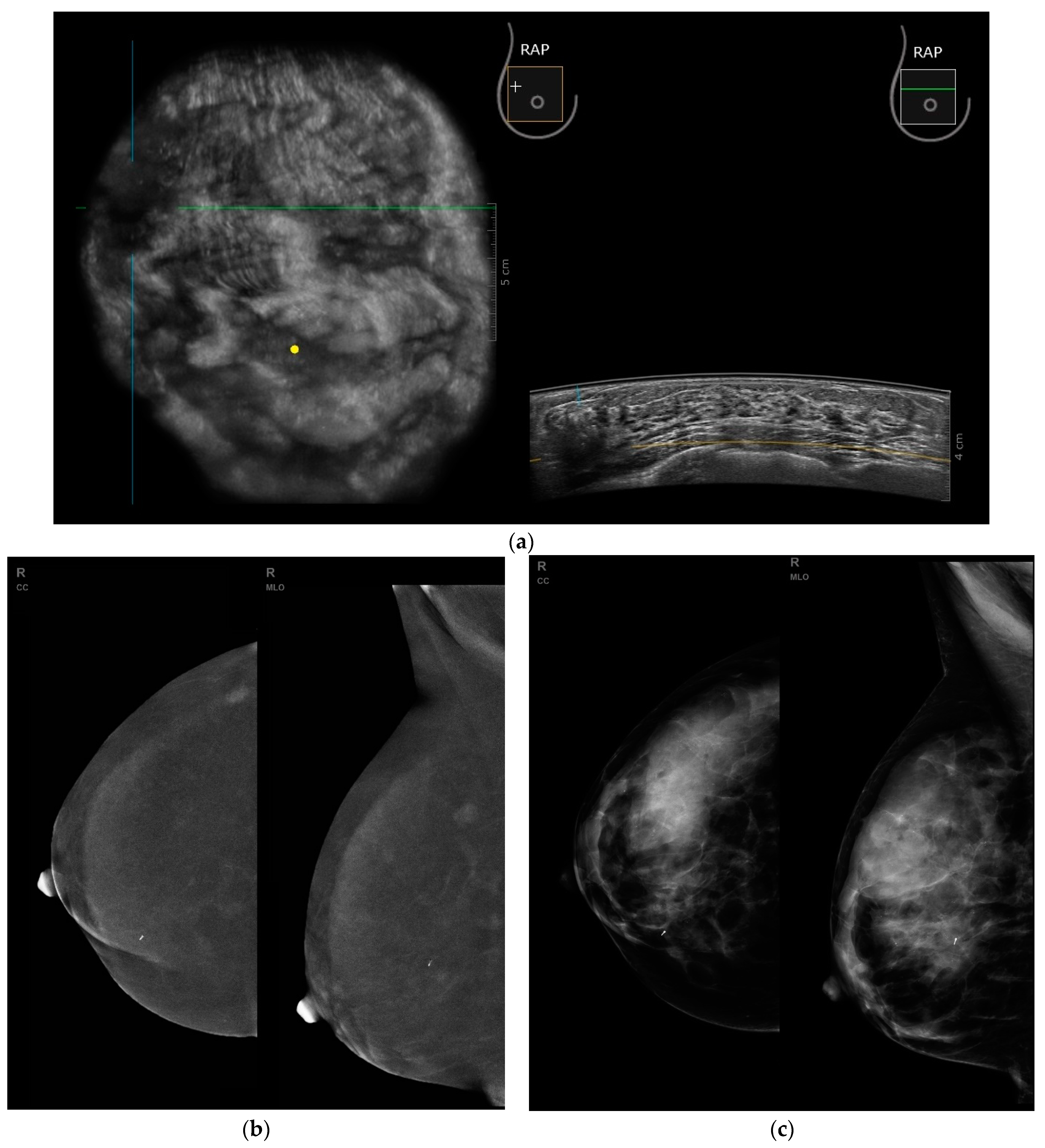 Biomedicines 11 03226 g008
