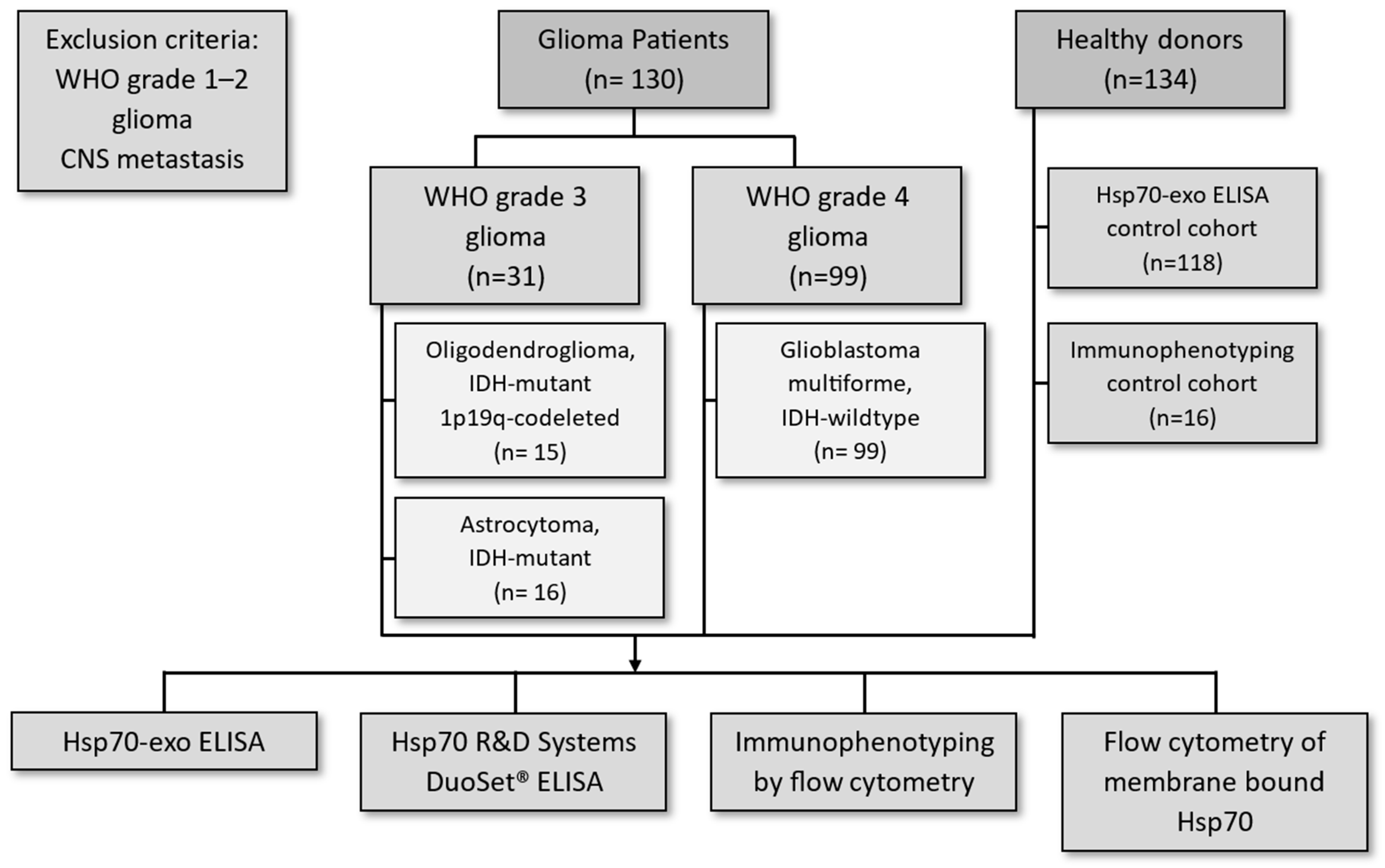Biomedicines 11 03235 g001 Biomedicines 11 03235 g001