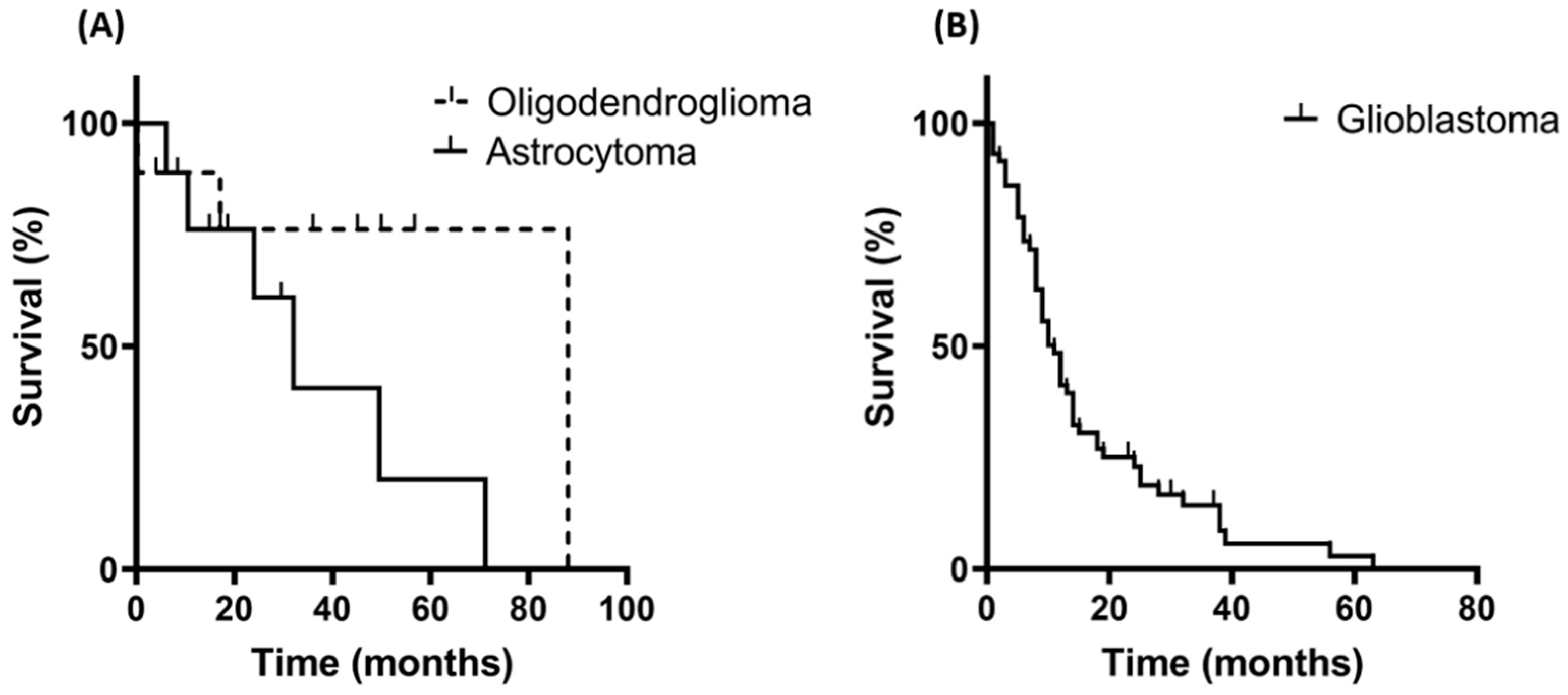 Biomedicines 11 03235 g002 Biomedicines 11 03235 g002
