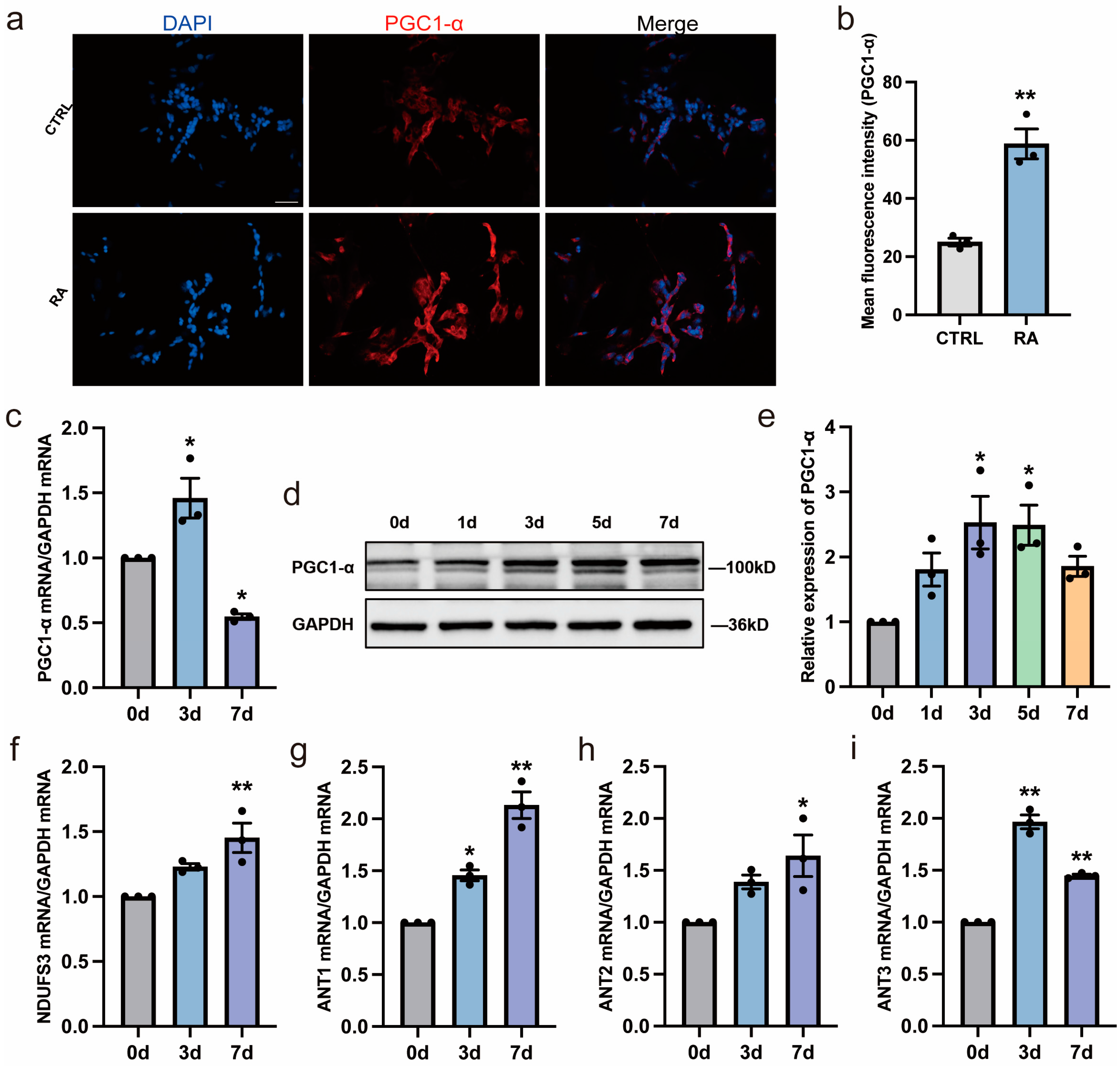 Biomedicines 11 03251 g003 Biomedicines 11 03251 g003