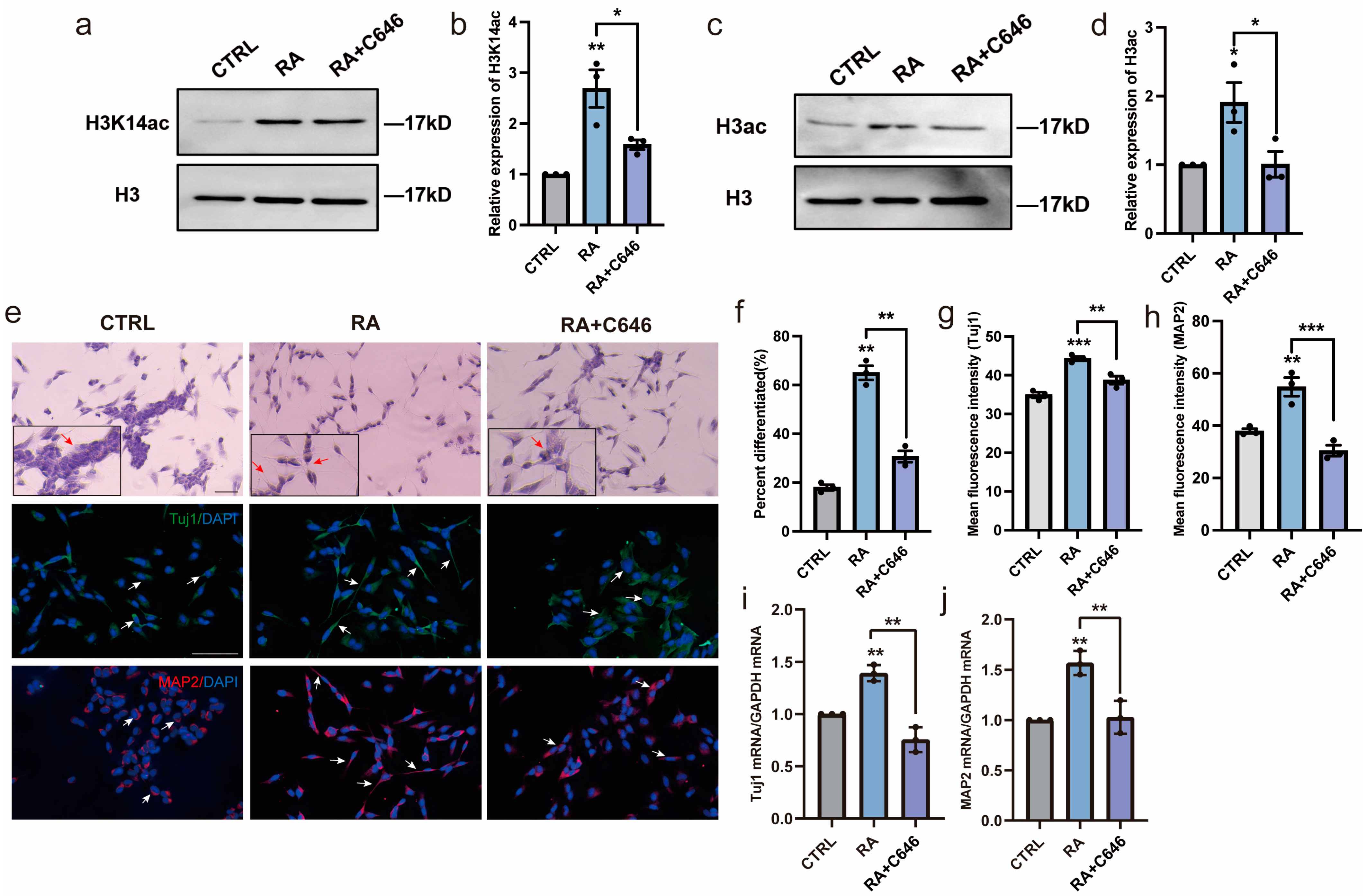 Biomedicines 11 03251 g004 Biomedicines 11 03251 g004