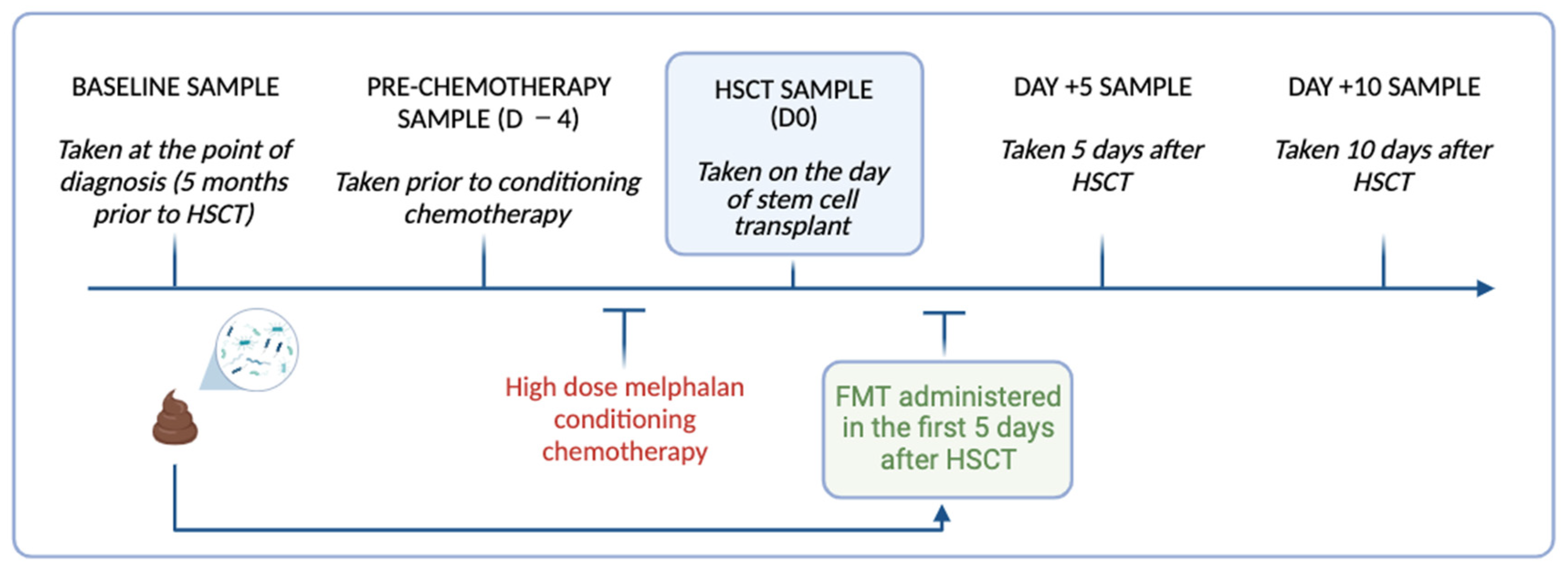 Biomedicines 11 03274 g001
