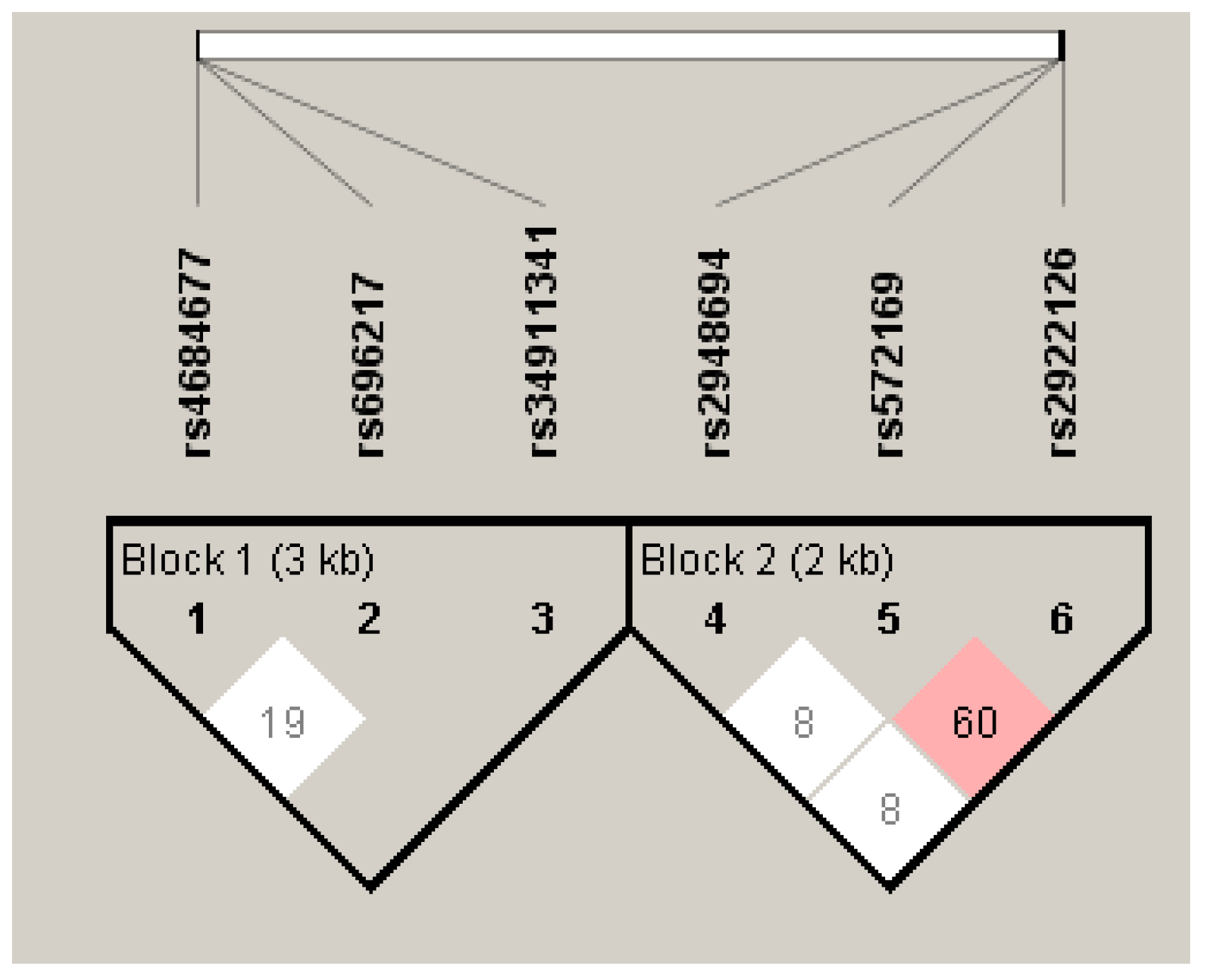 Biomedicines 11 03276 g002