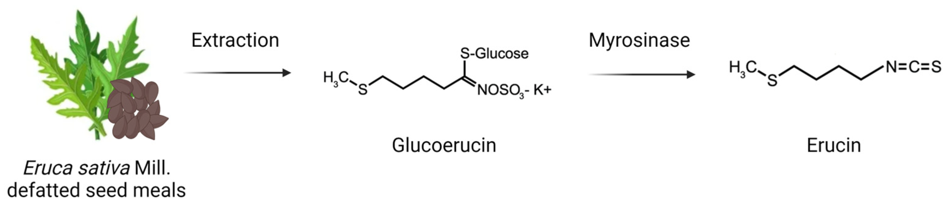 Biomedicines 11 03281 g001 Biomedicines 11 03281 g001