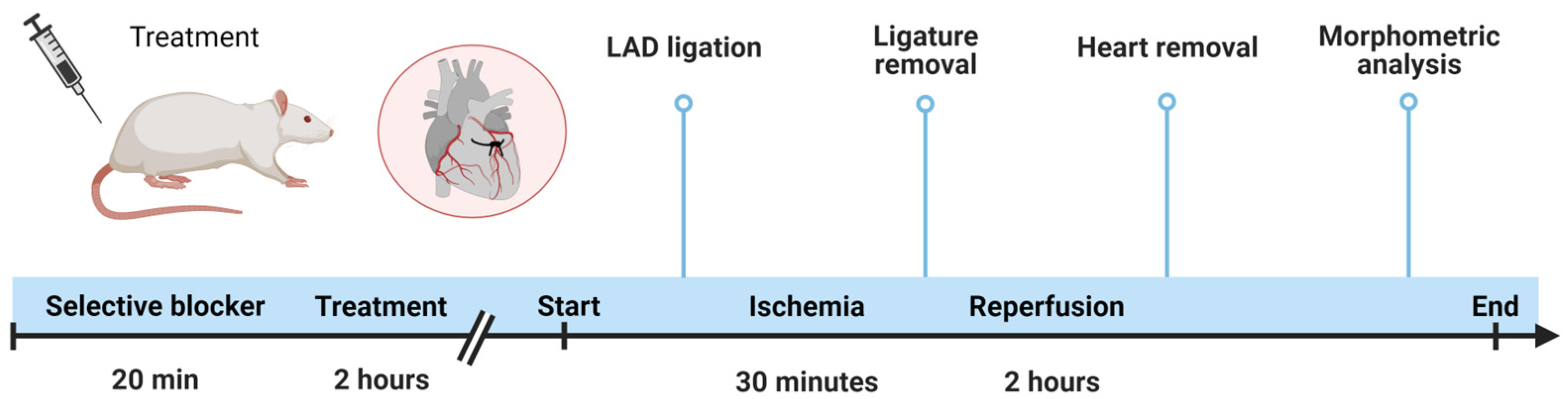 Biomedicines 11 03281 g002 Biomedicines 11 03281 g002