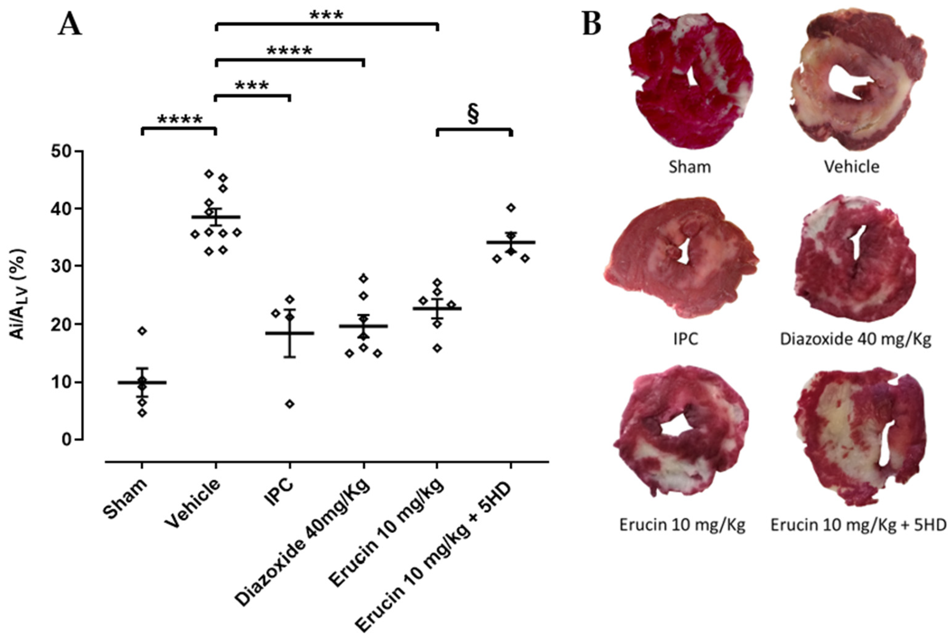 Biomedicines 11 03281 g003 Biomedicines 11 03281 g003