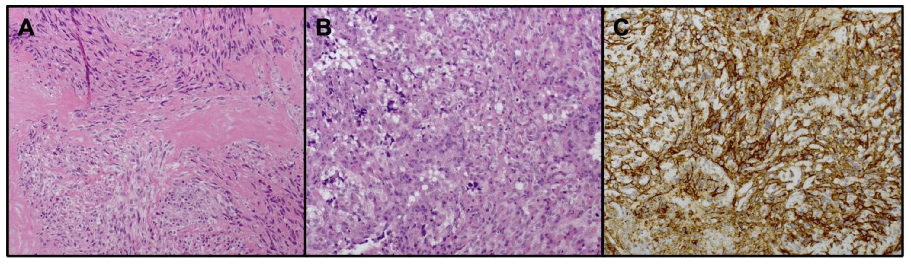 Biomedicines 11 03290 g001