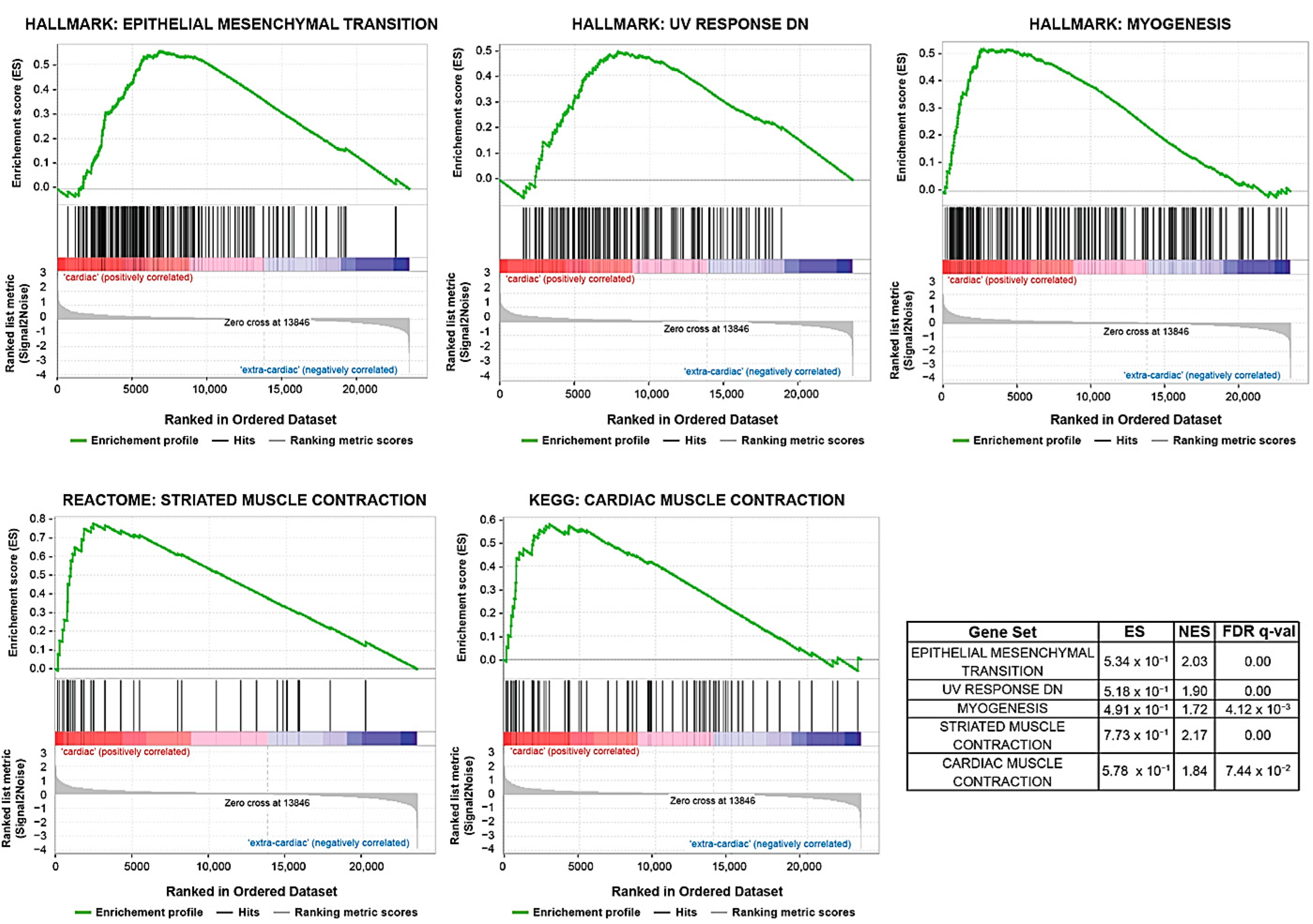 Biomedicines 11 03290 g004