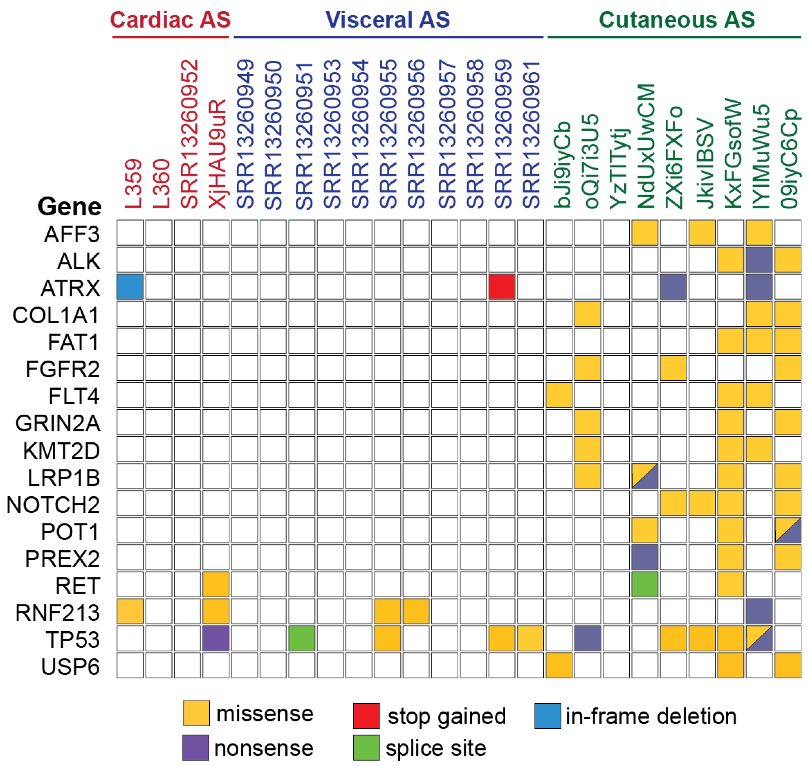 Biomedicines 11 03290 g006
