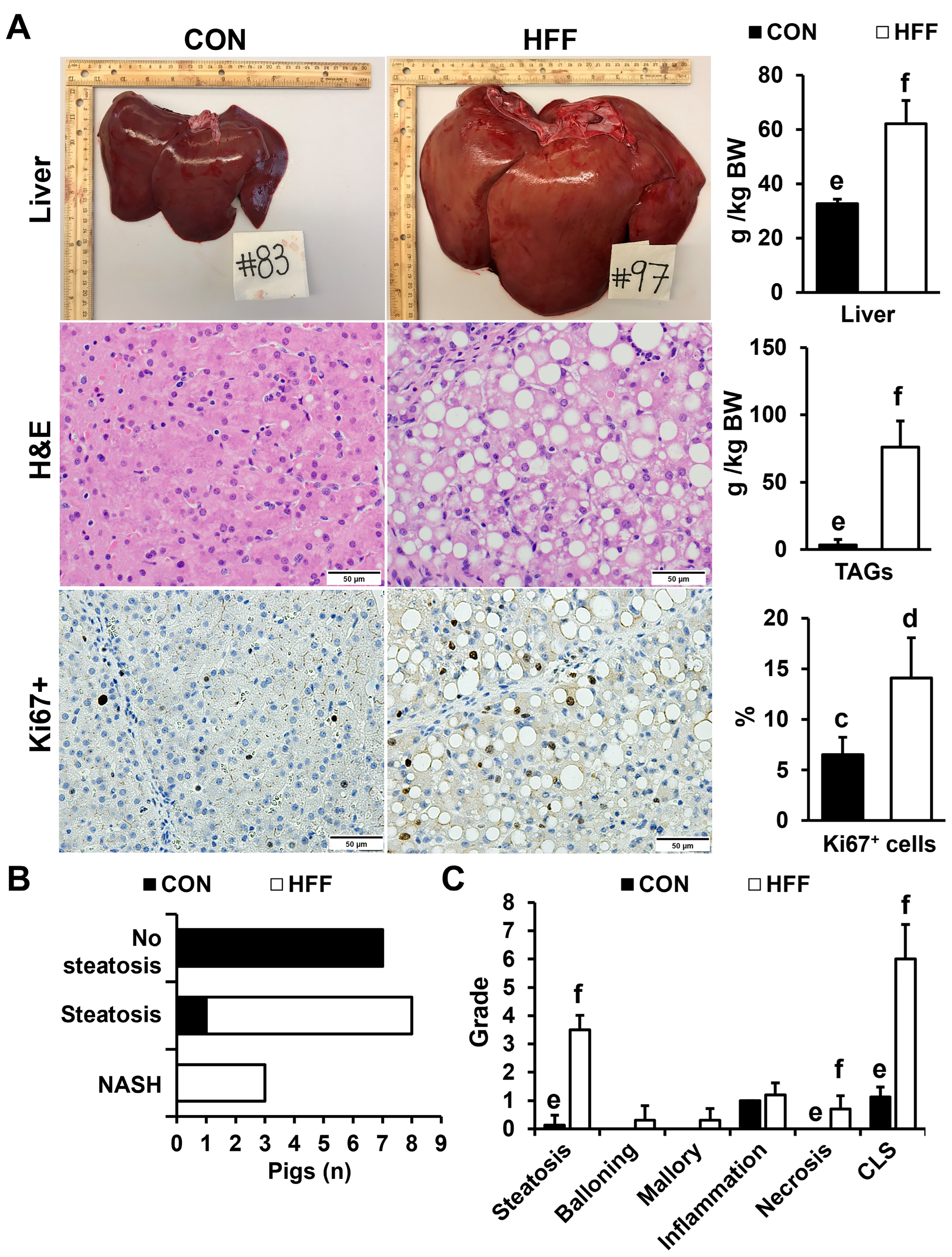 Biomedicines 11 03303 g002