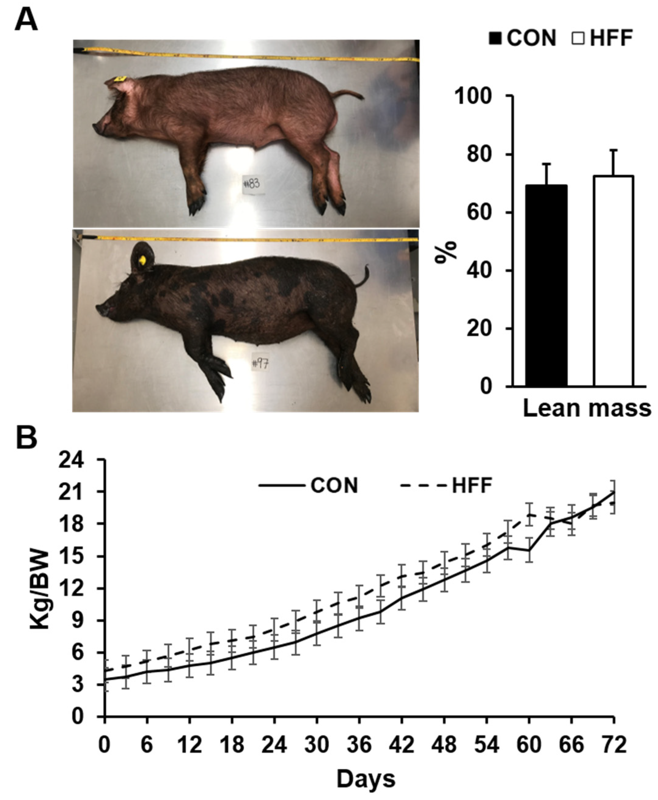 Biomedicines 11 03303 g003