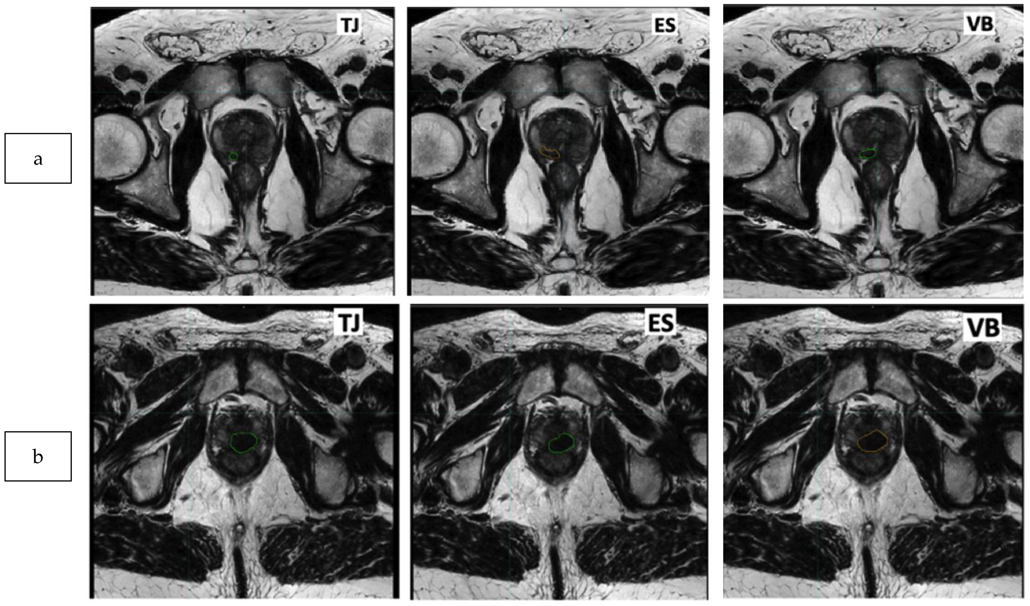 Biomedicines 11 03309 g003