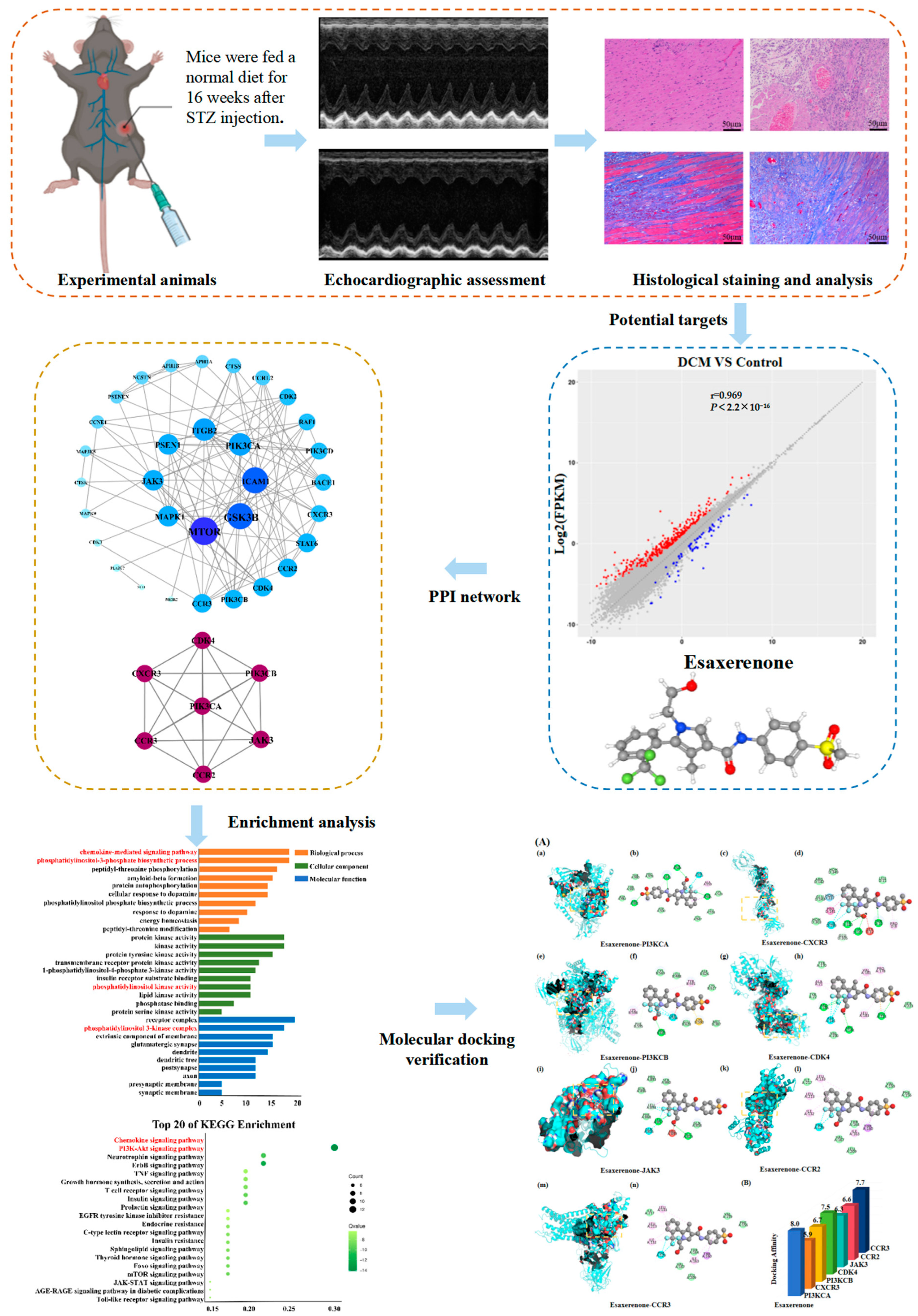 Biomedicines 11 03319 g001