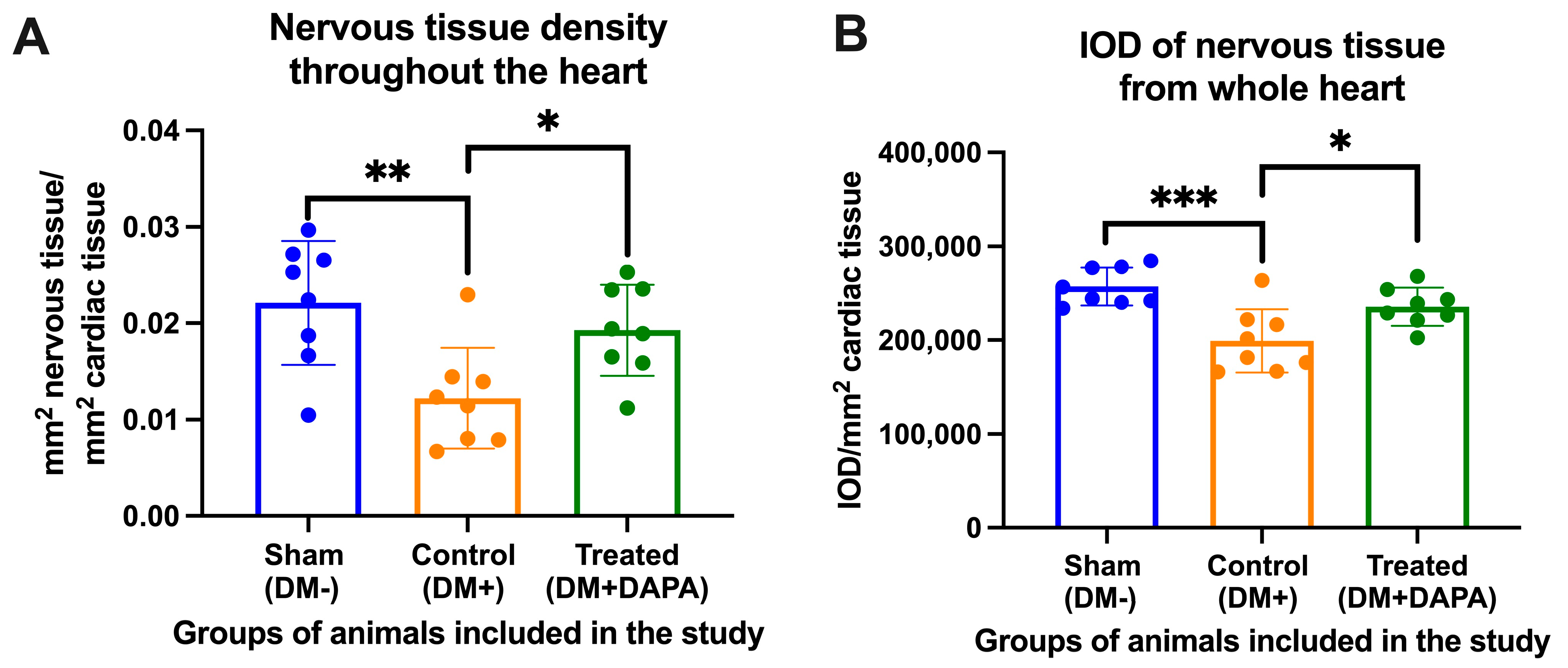 Biomedicines 11 03324 g002