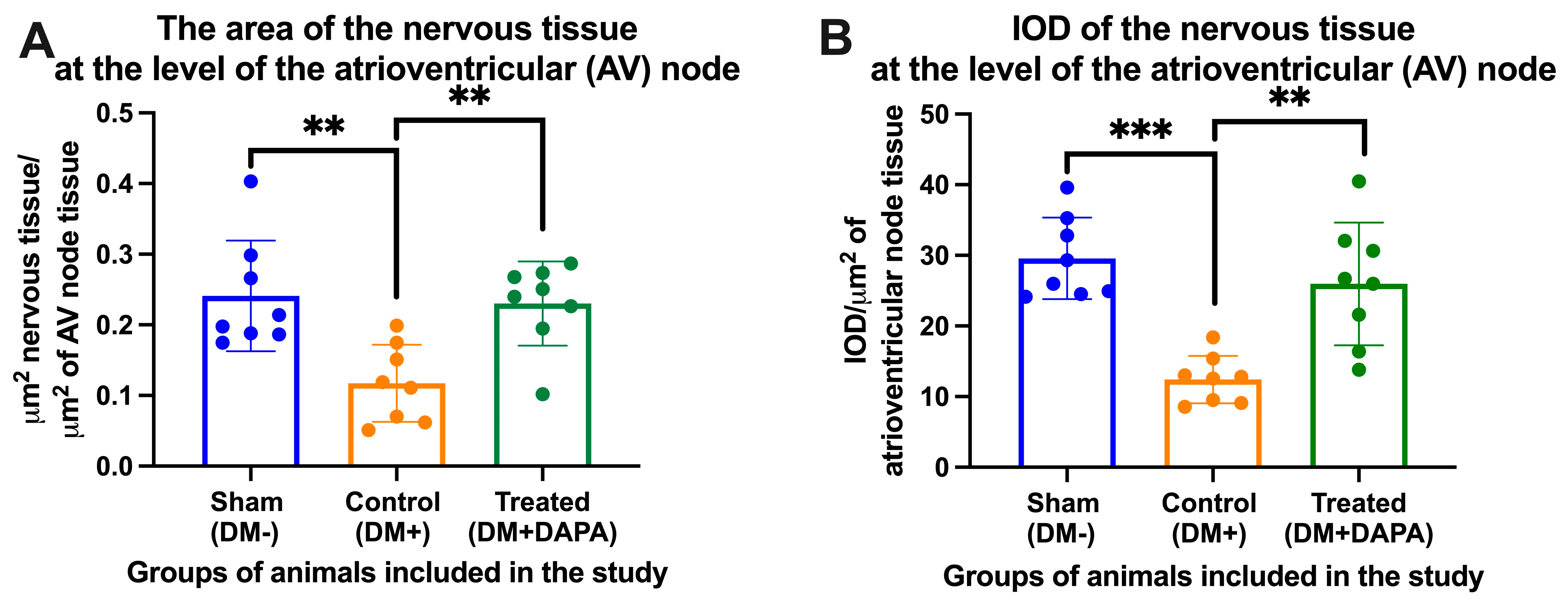 Biomedicines 11 03324 g004