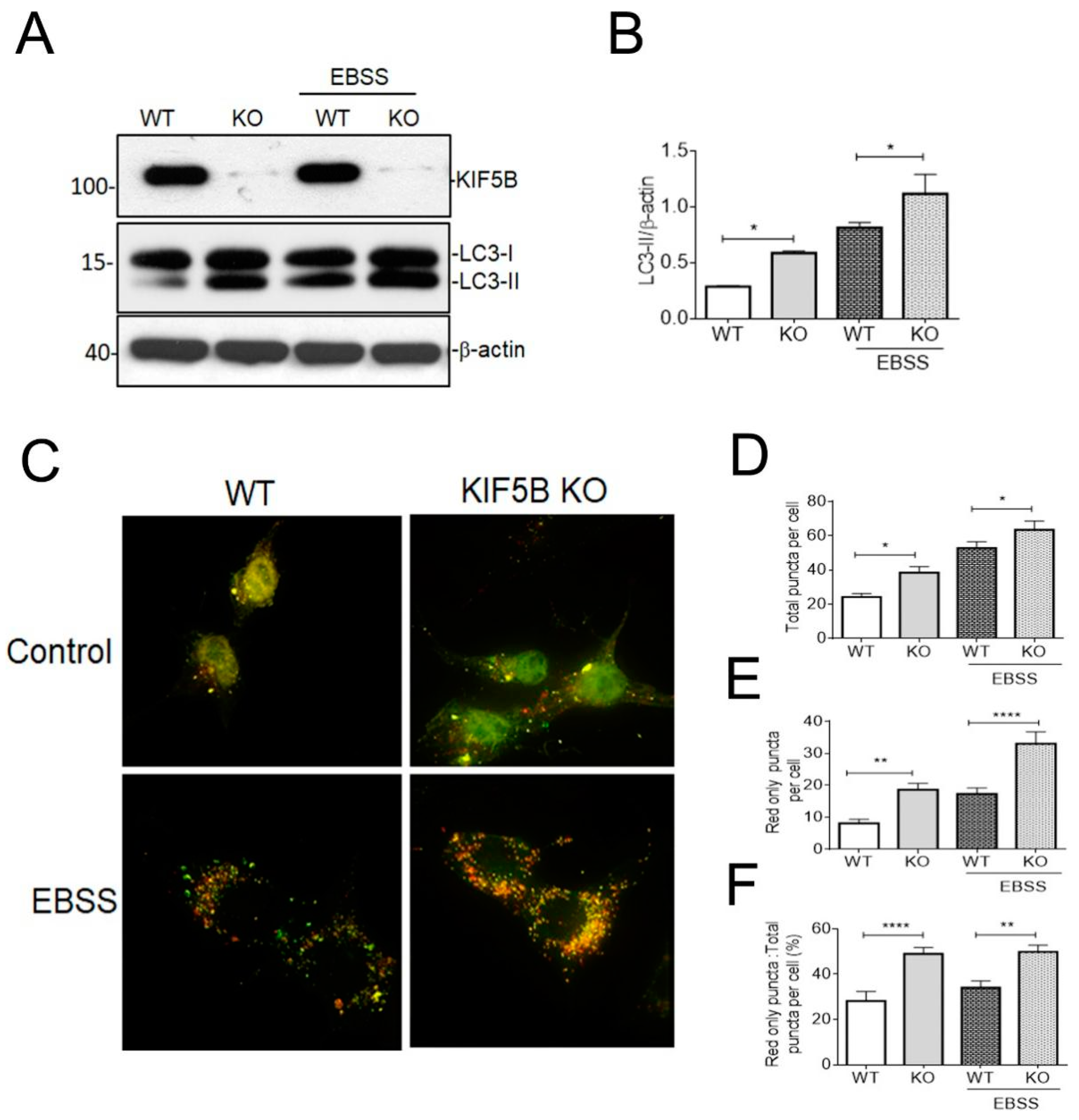 Biomedicines 12 00005 g004 Biomedicines 12 00005 g004