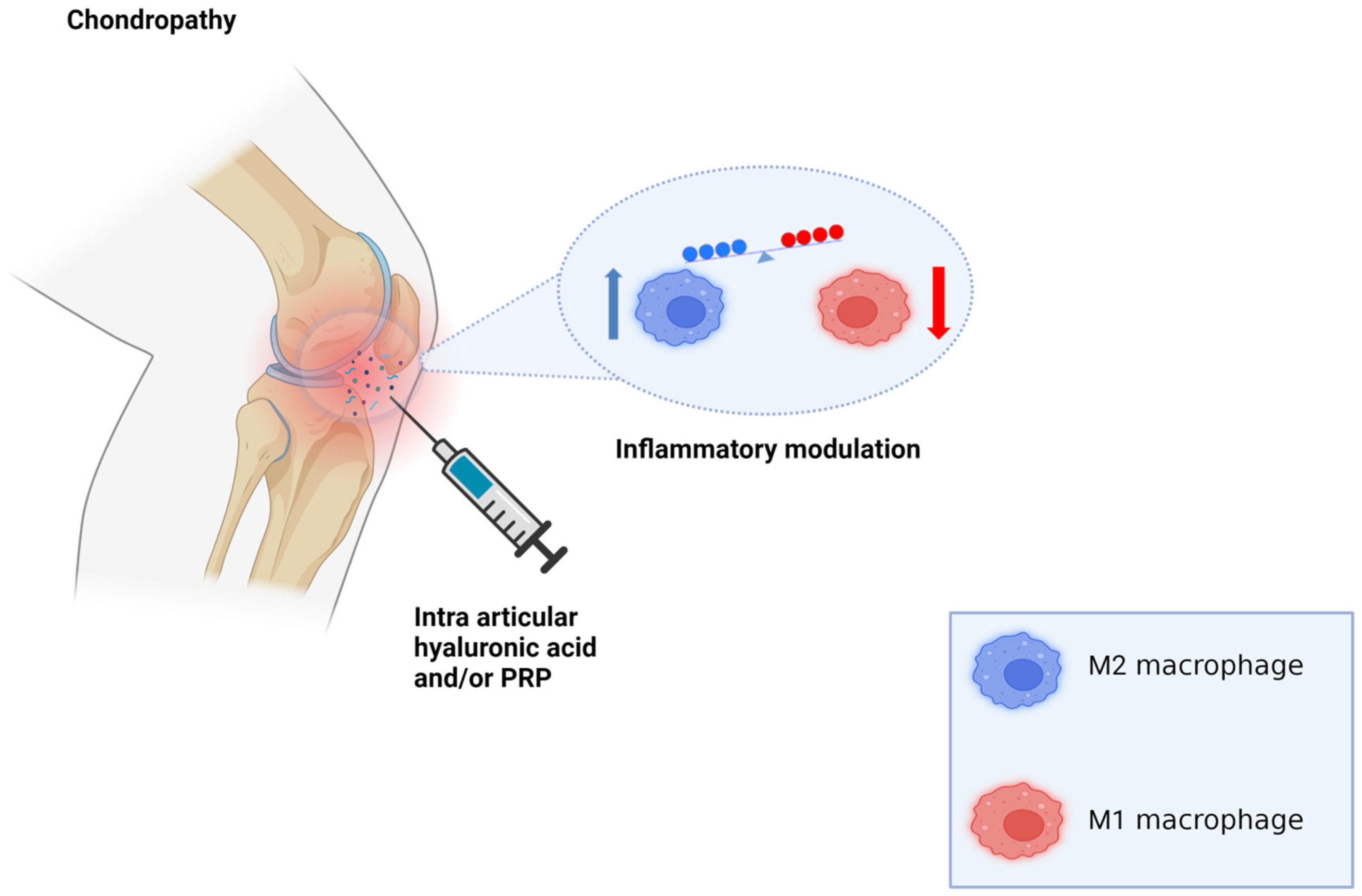 Orthobiologics/Stem Cell Therapy & PRP - The Institute for