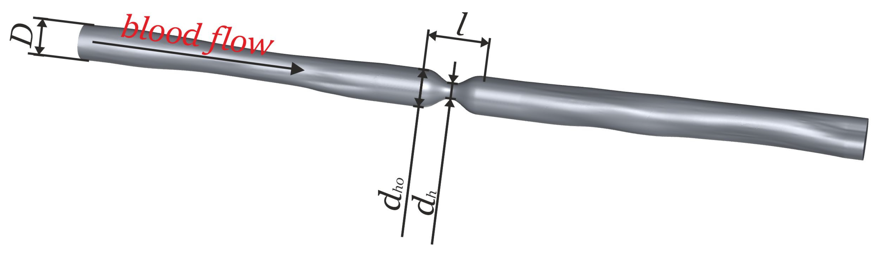 Biomedicines 12 00037 g001