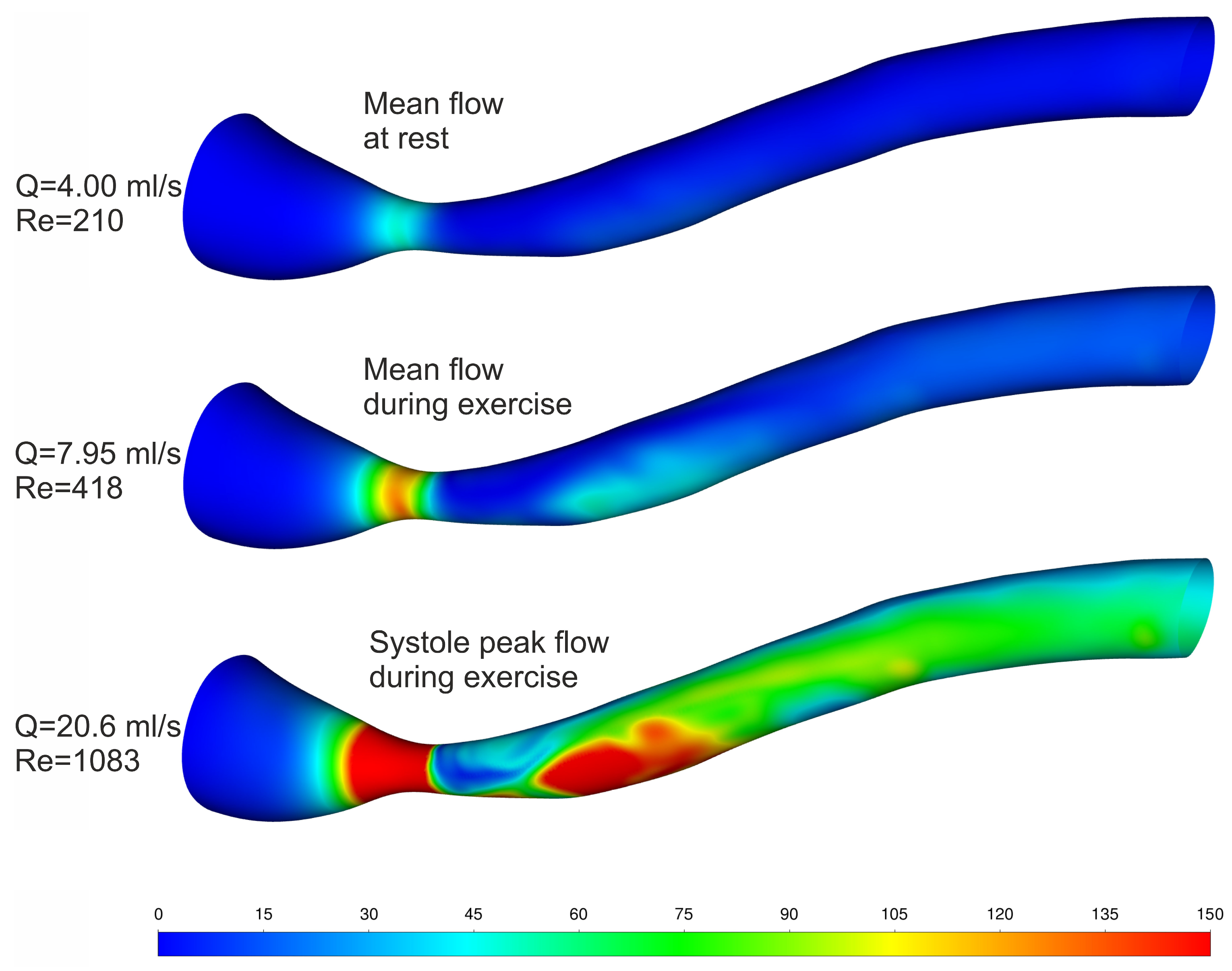Biomedicines 12 00037 g009