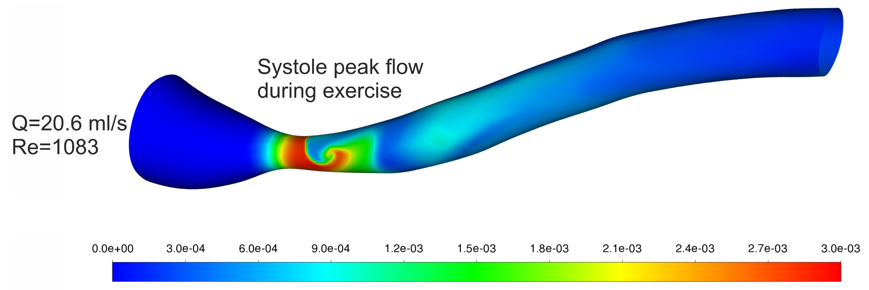 Biomedicines 12 00037 g010