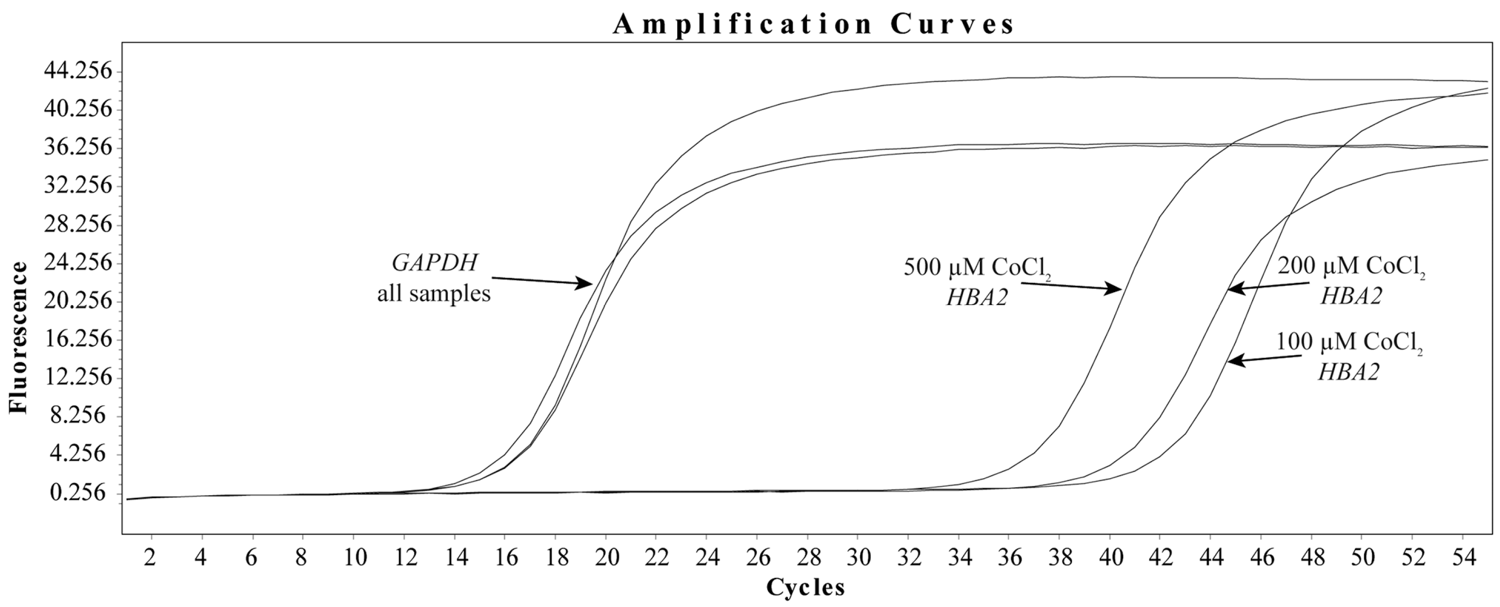 Biomedicines 12 00075 g003