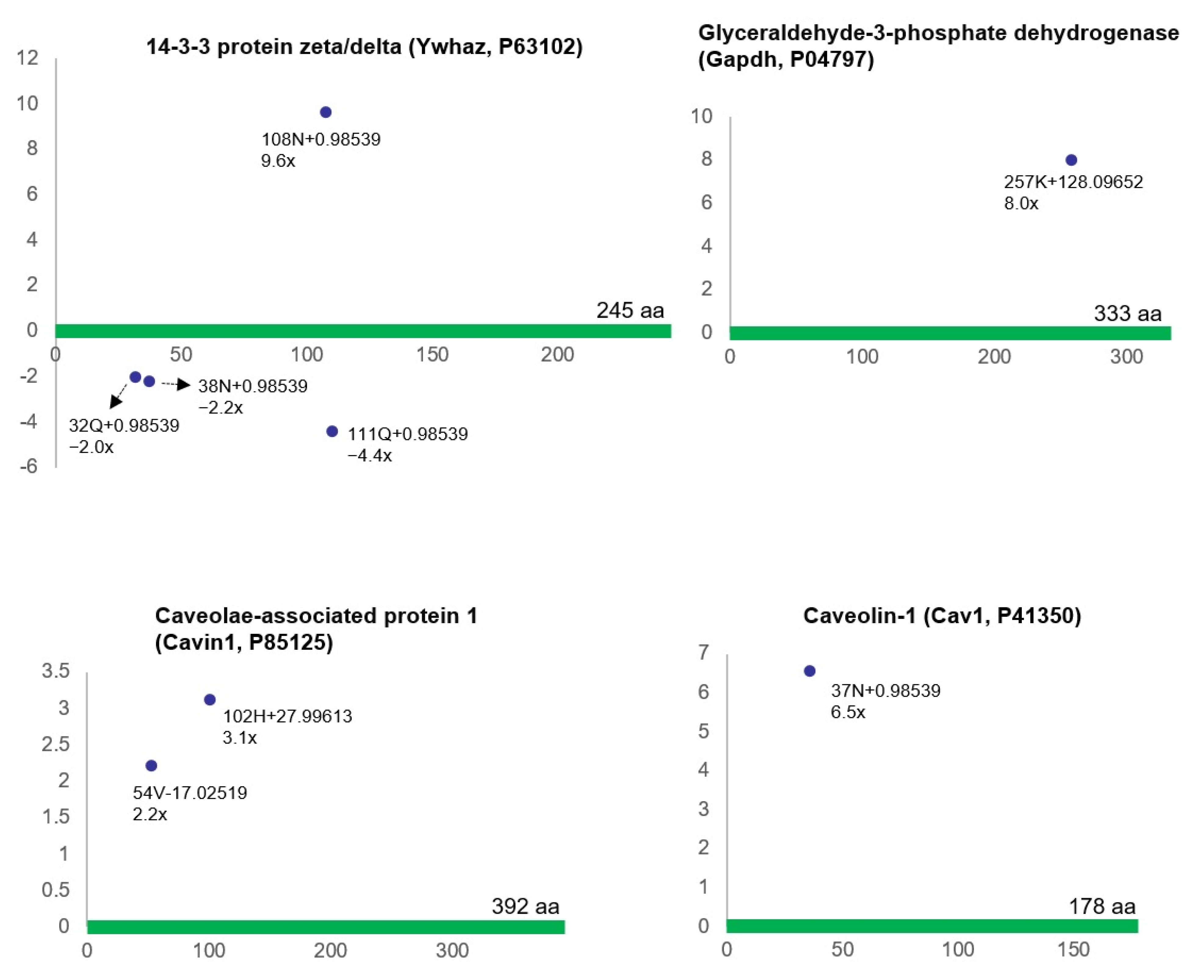 Biomedicines 12 00081 g004