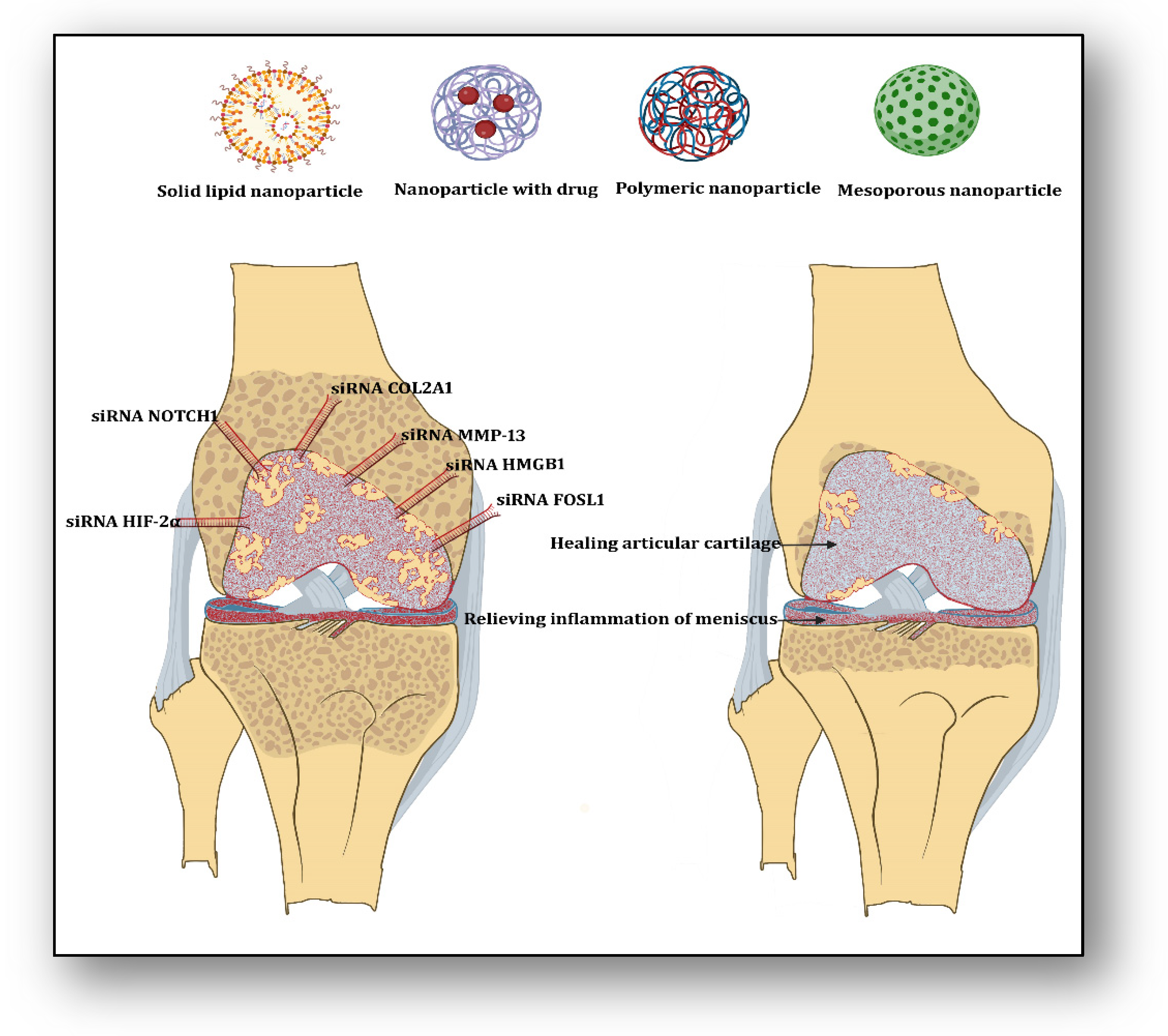 Biomedicines 12 00090 g001 Biomedicines 12 00090 g001
