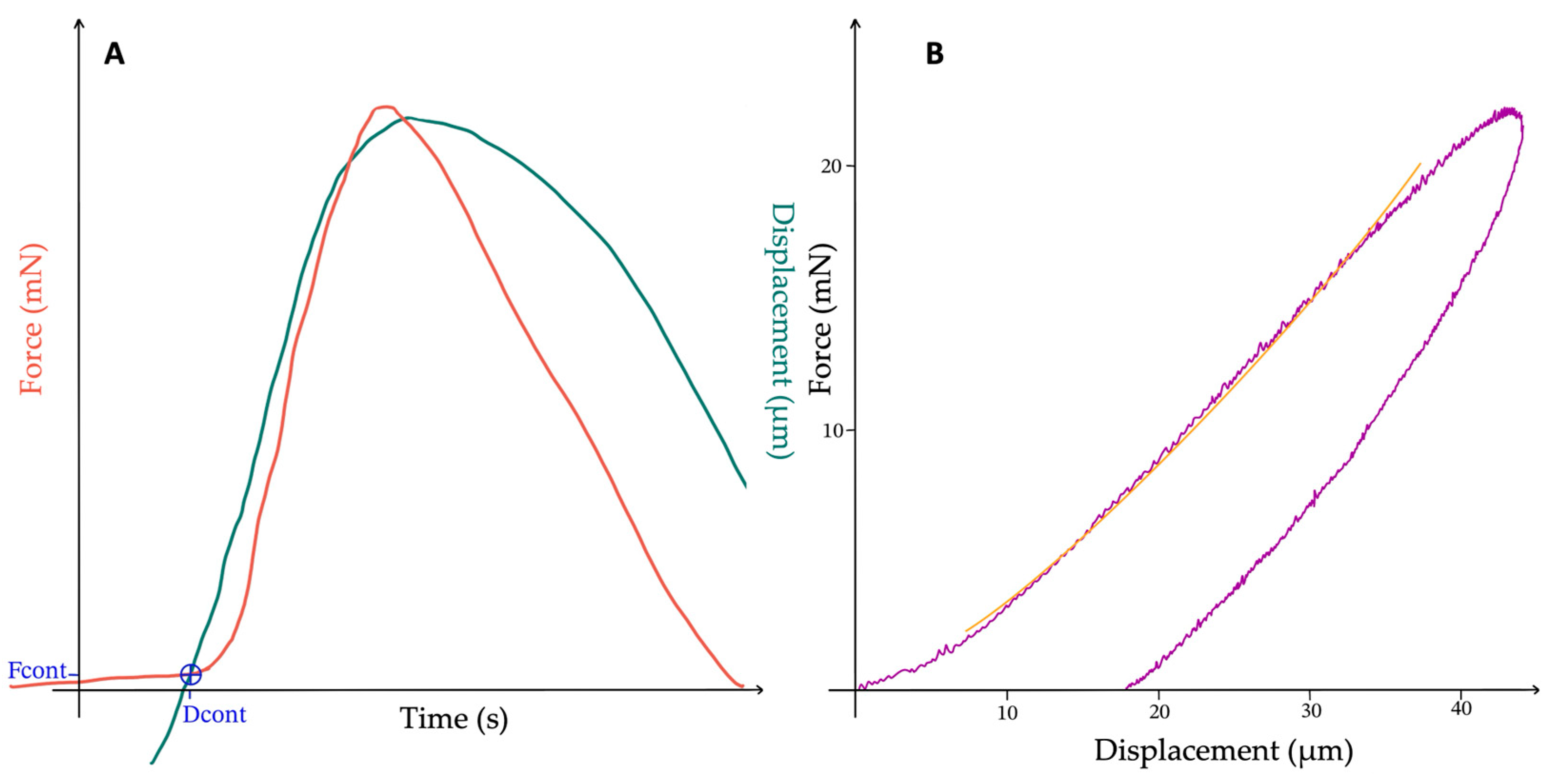 Biomedicines 12 00091 g004 Biomedicines 12 00091 g004