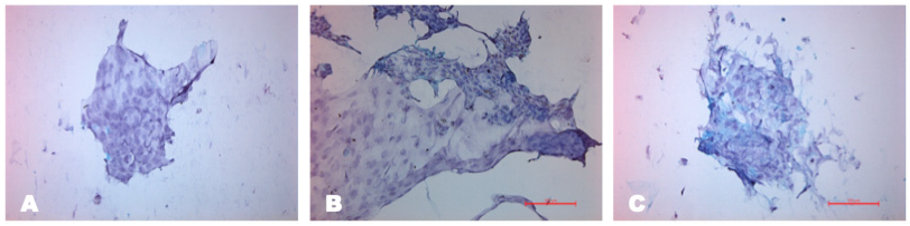 Biomedicines 12 00101 g008