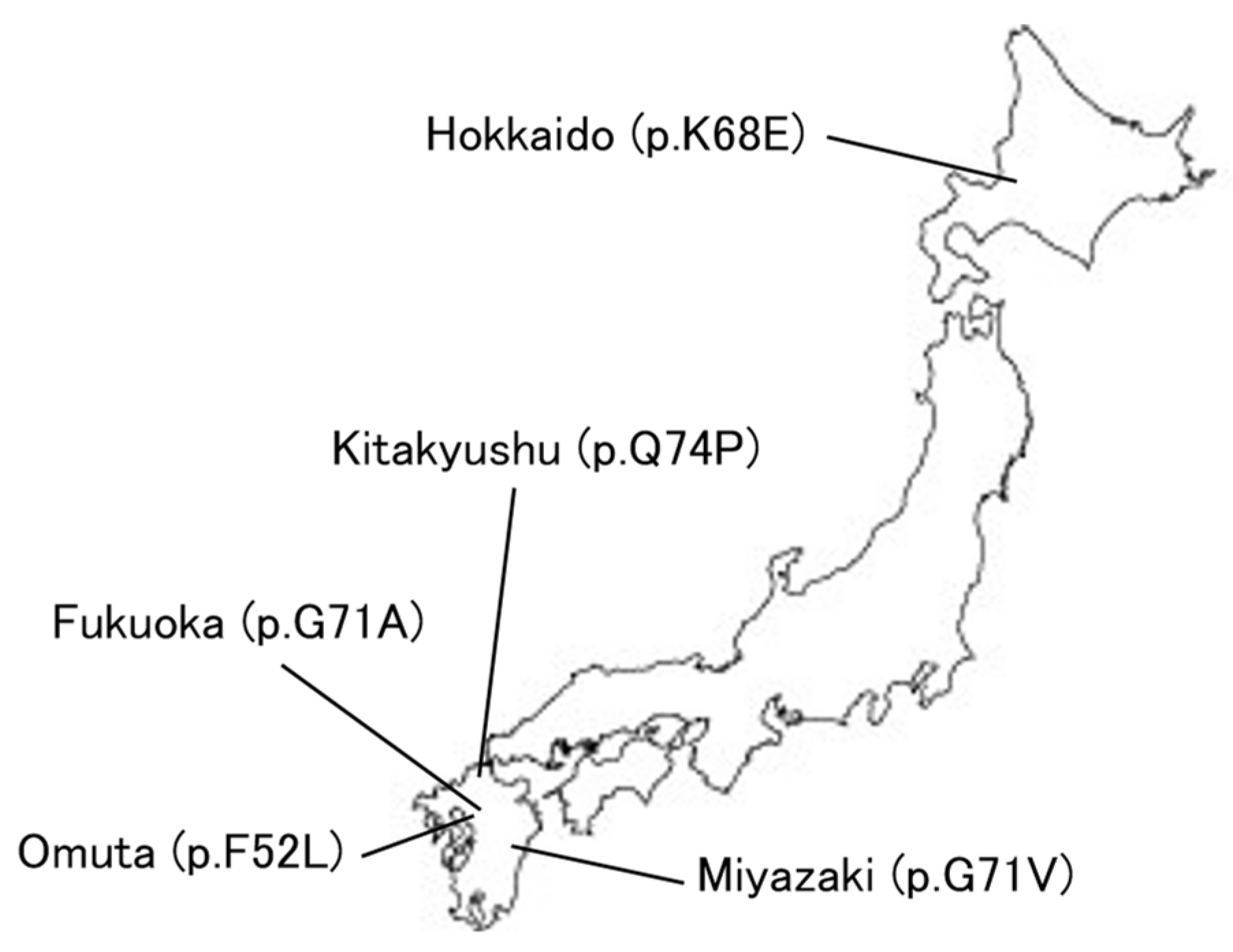 Biomedicines 12 00113 g006