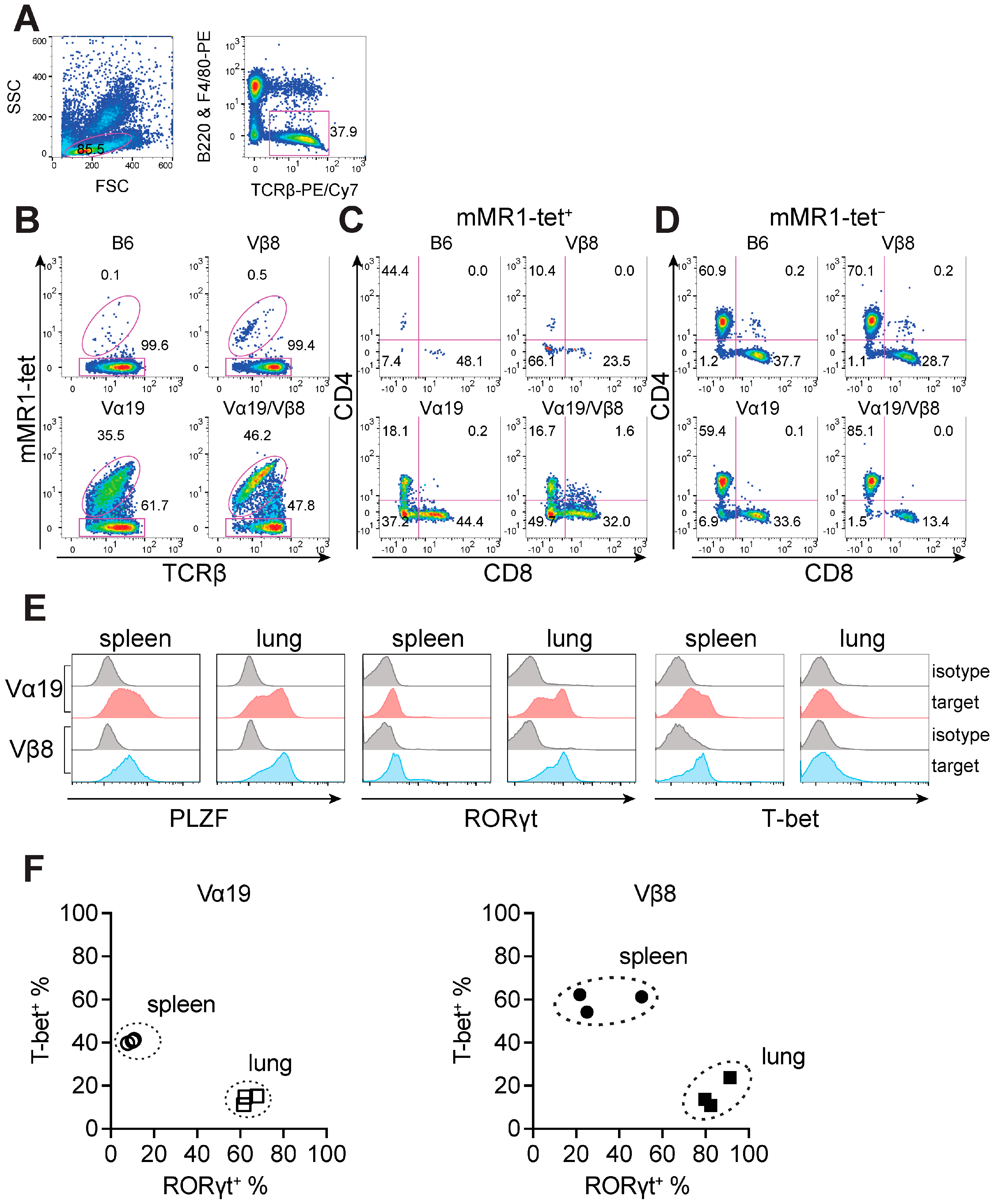 Biomedicines 12 00137 g001