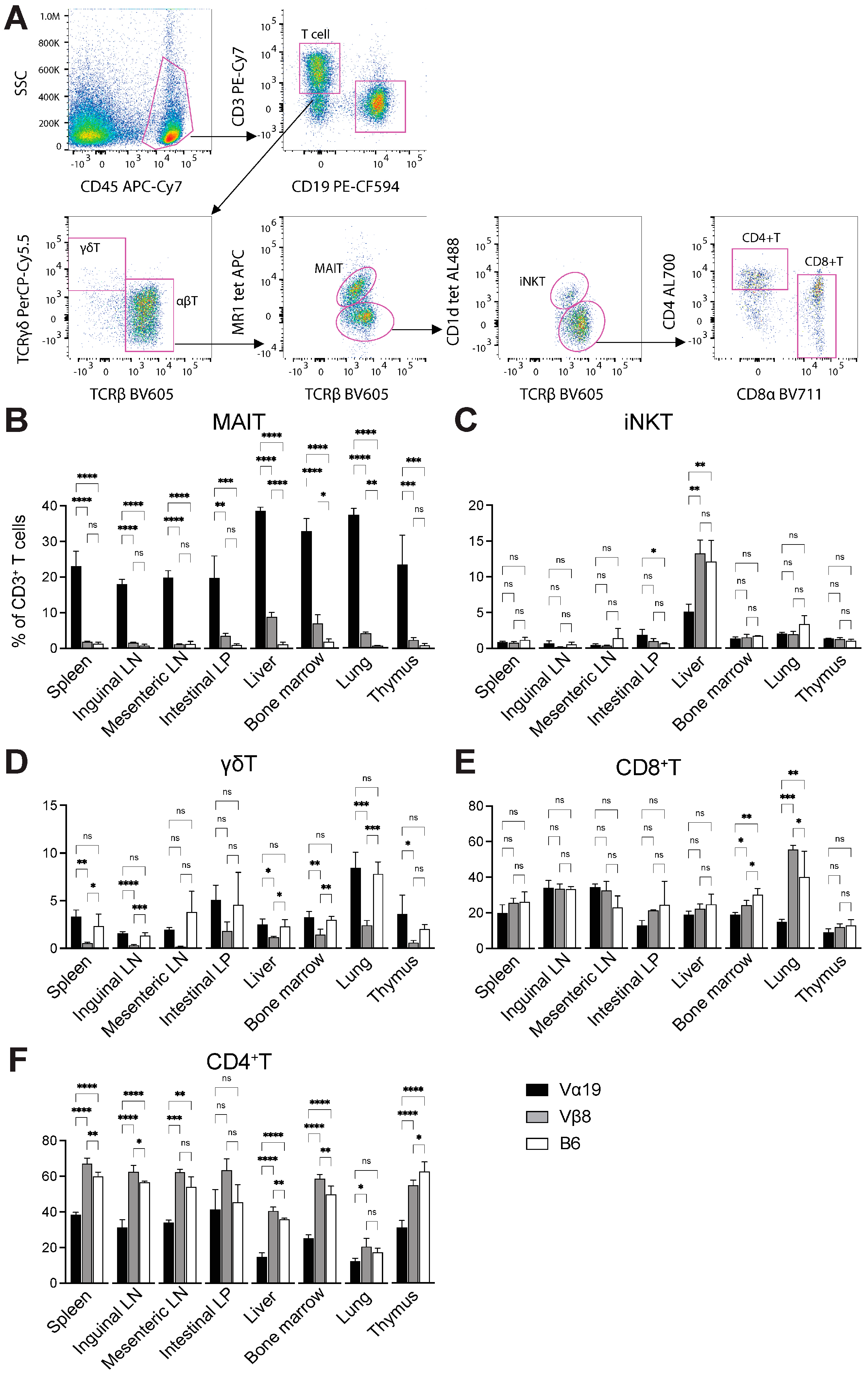 Biomedicines 12 00137 g002