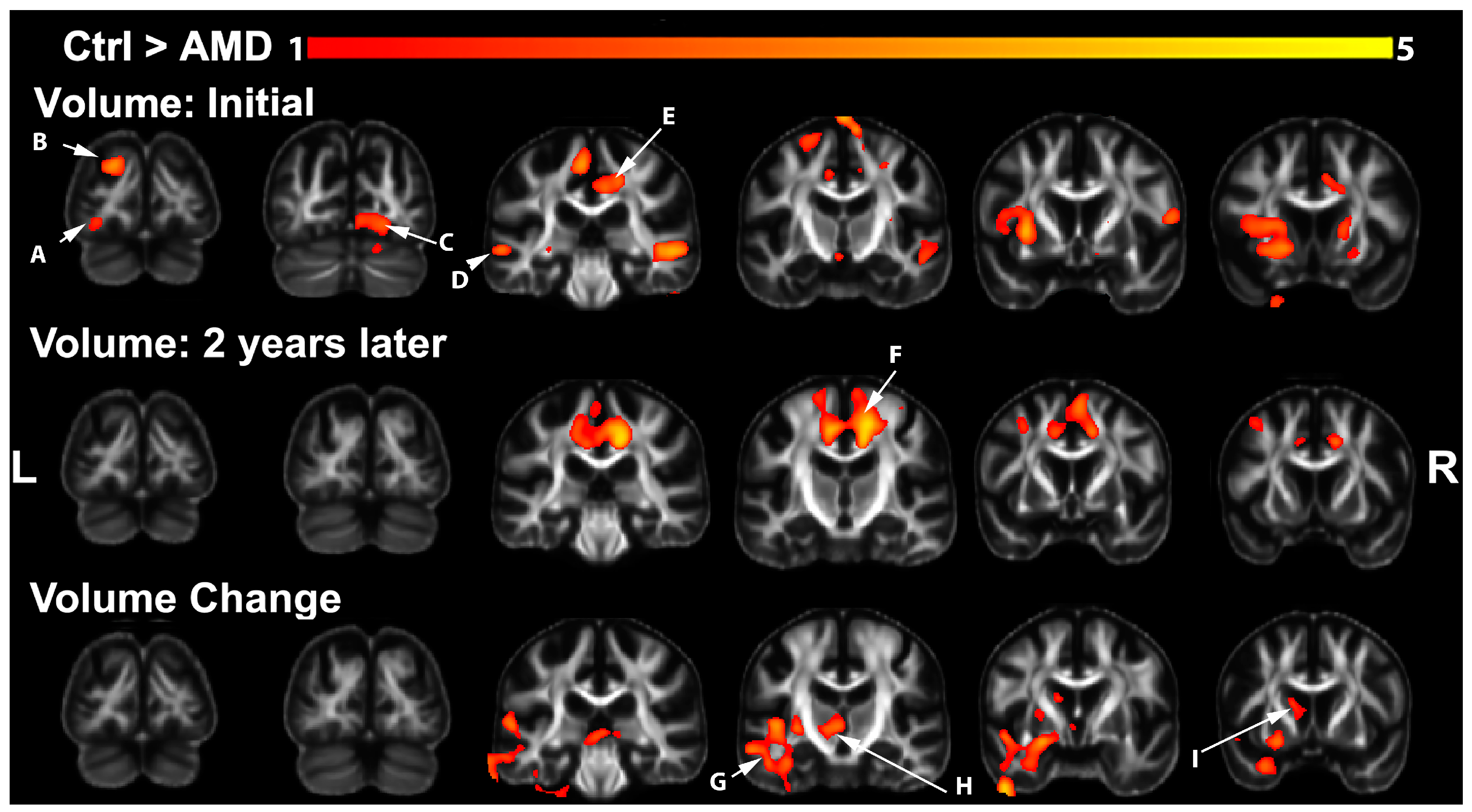 Biomedicines 12 00147 g001