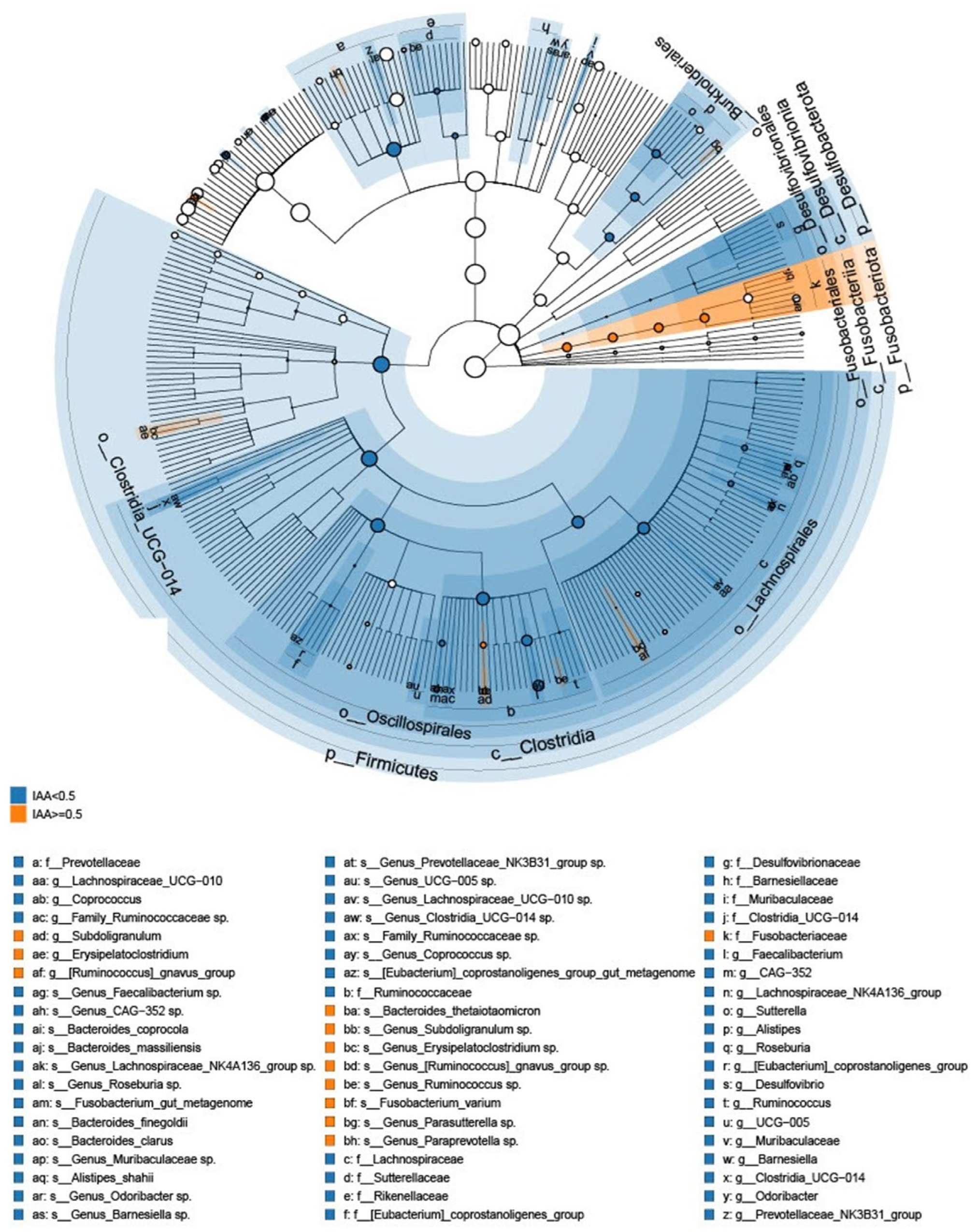 Biomedicines 12 00148 g002